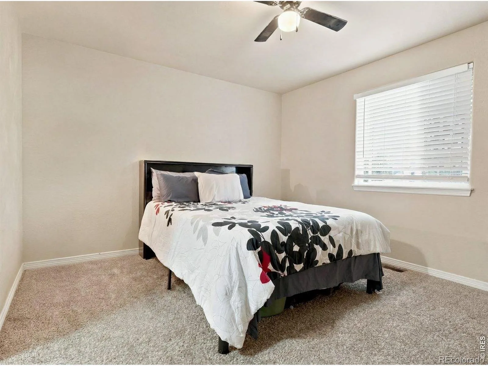 9029 Eldorado Avenue Frederick CO 80504 | MLS #RECIR1062398 07092026232716 1600 29