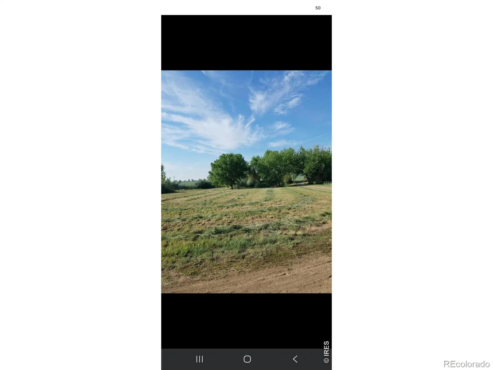 6291 County Road 20 Longmont CO 80504 | MLS #RECIR1062430 08132026005035 1600 47
