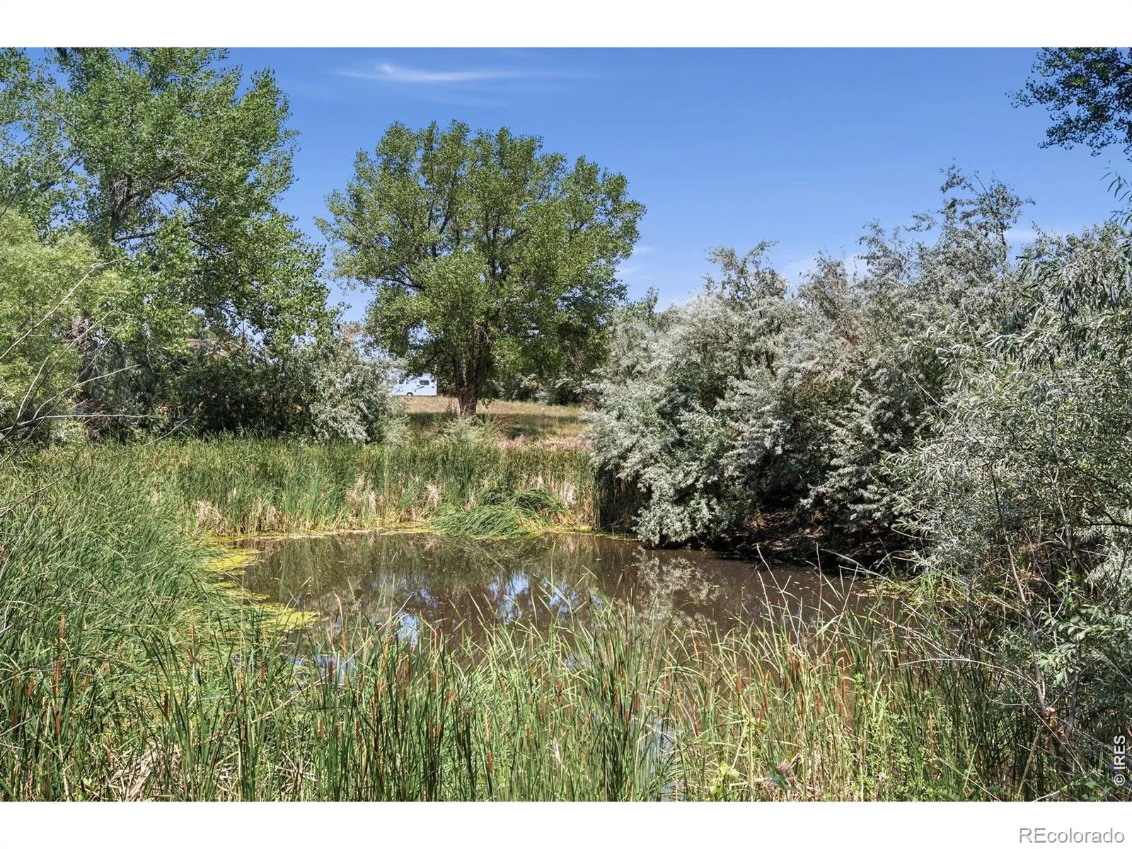 6291 County Road 20 Longmont CO 80504 | MLS #RECIR1062430 08132026005035 1600 7