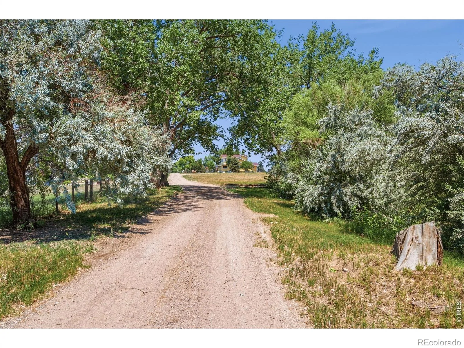 6291 County Road 20 Longmont CO 80504 | MLS #RECIR1062430 08132026005035 1600 8