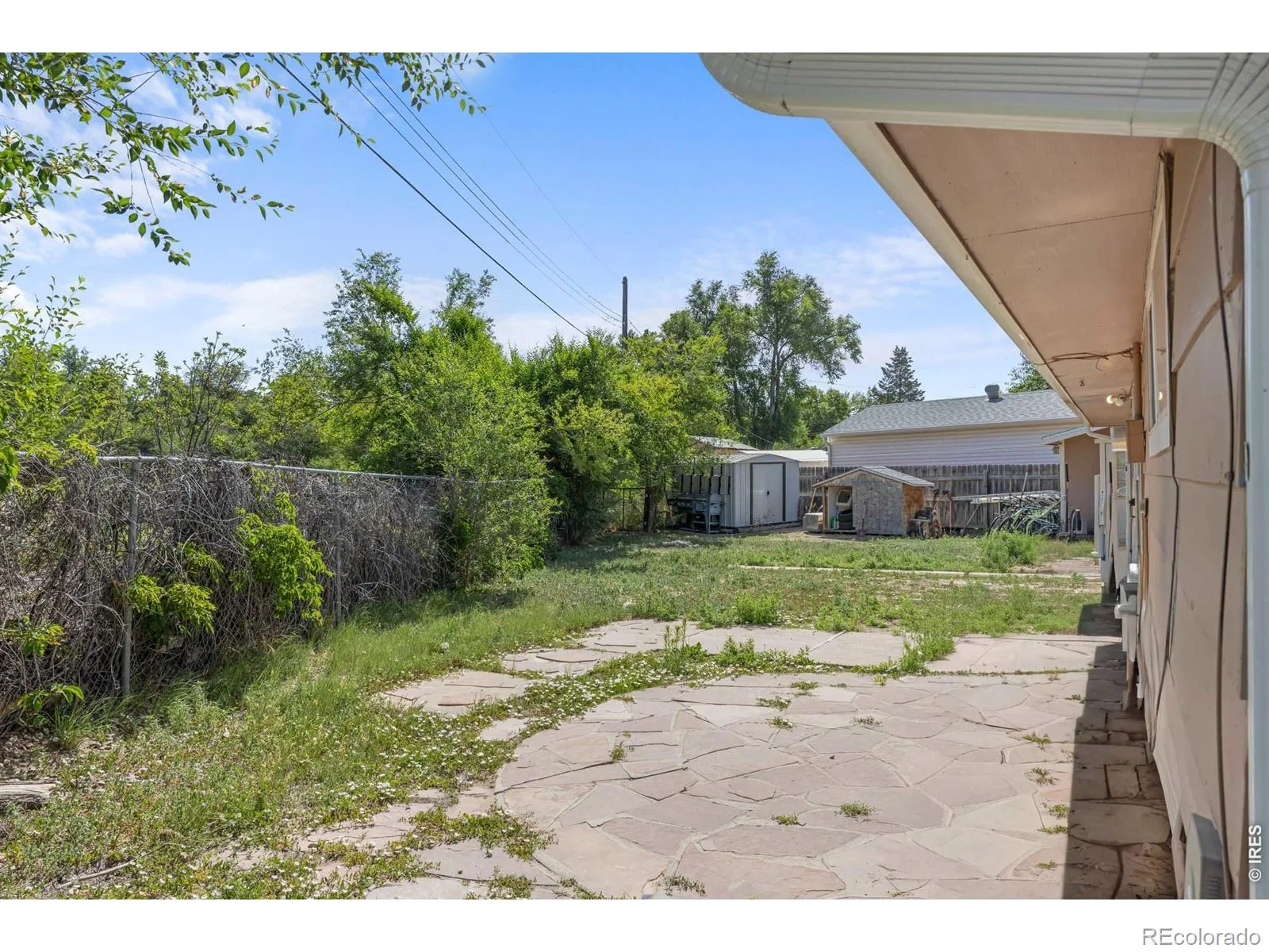 12 Sherman Court Longmont CO 80501 | MLS #RECIR1062493 06232026001829 1600 17