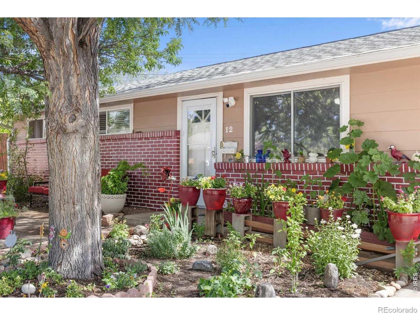 12 Sherman Court Longmont CO 80501 | MLS #RECIR1062493 06232026001829 1600 2