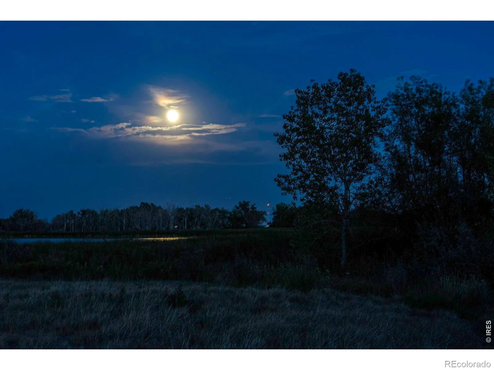 3382 E 123rd Avenue Thornton CO 80241 | MLS #REC7815766 08282026202220 1600 49
