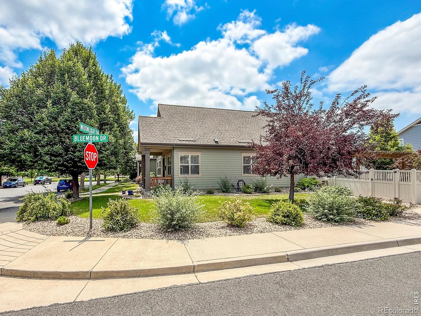 1441 Moonlight Drive Longmont CO 80504 | MLS #RECIR1062729 06252026212939 1600 44