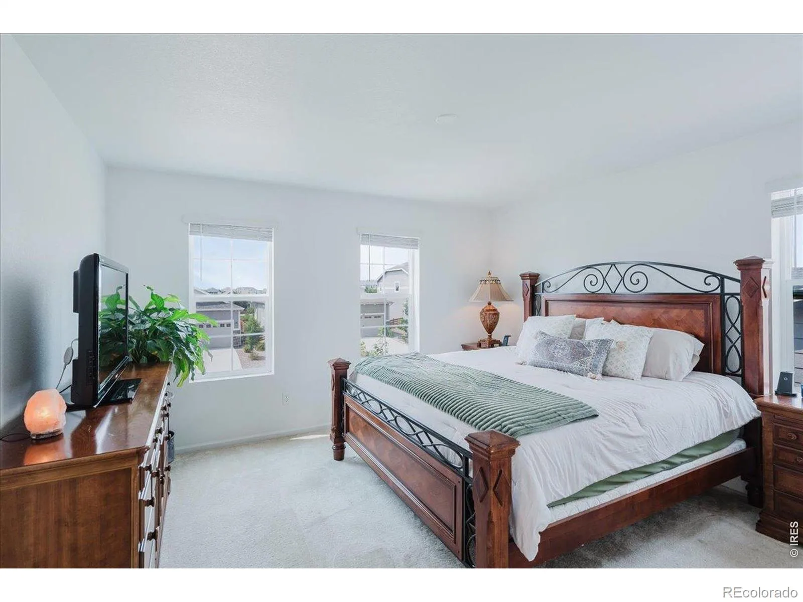 737 Audubon Peak Drive Erie CO 80516 | MLS #RECIR1062755 06252026220936 1600 17