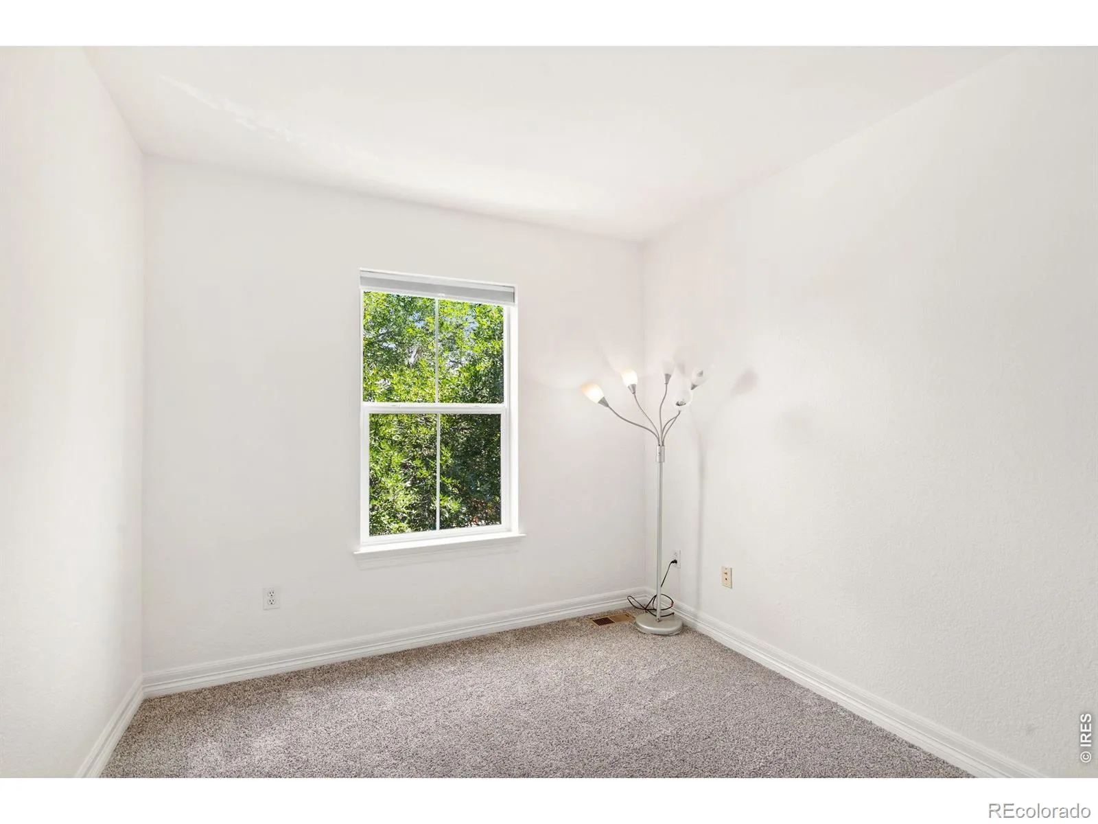 639 Americana Road Longmont CO 80504 | MLS #RECIR1062769 08112026212908 1600 23