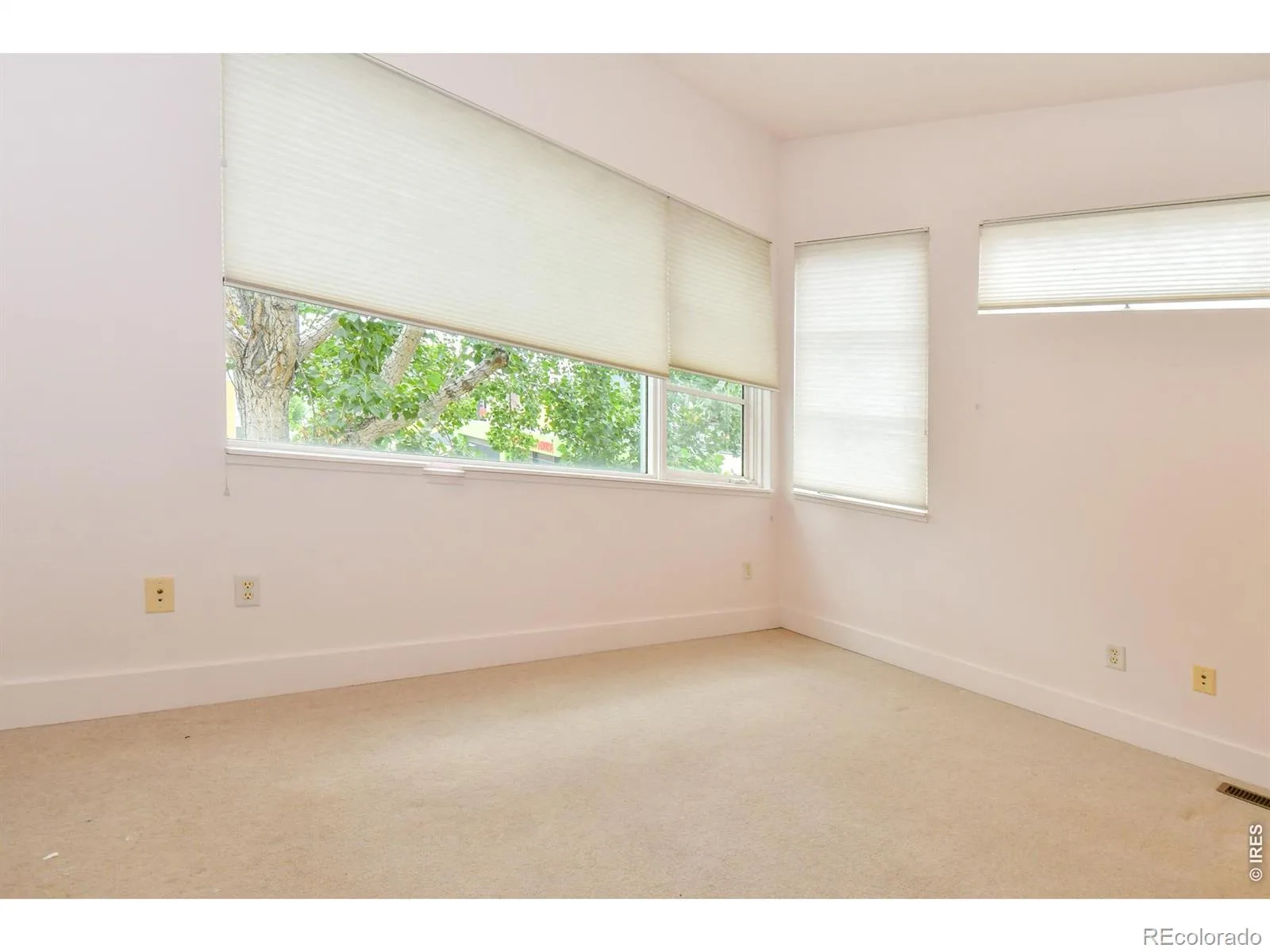2017 100 Year Party Court #3 Longmont CO 80504 | MLS #RECIR1062867 08232026192651 1600 18