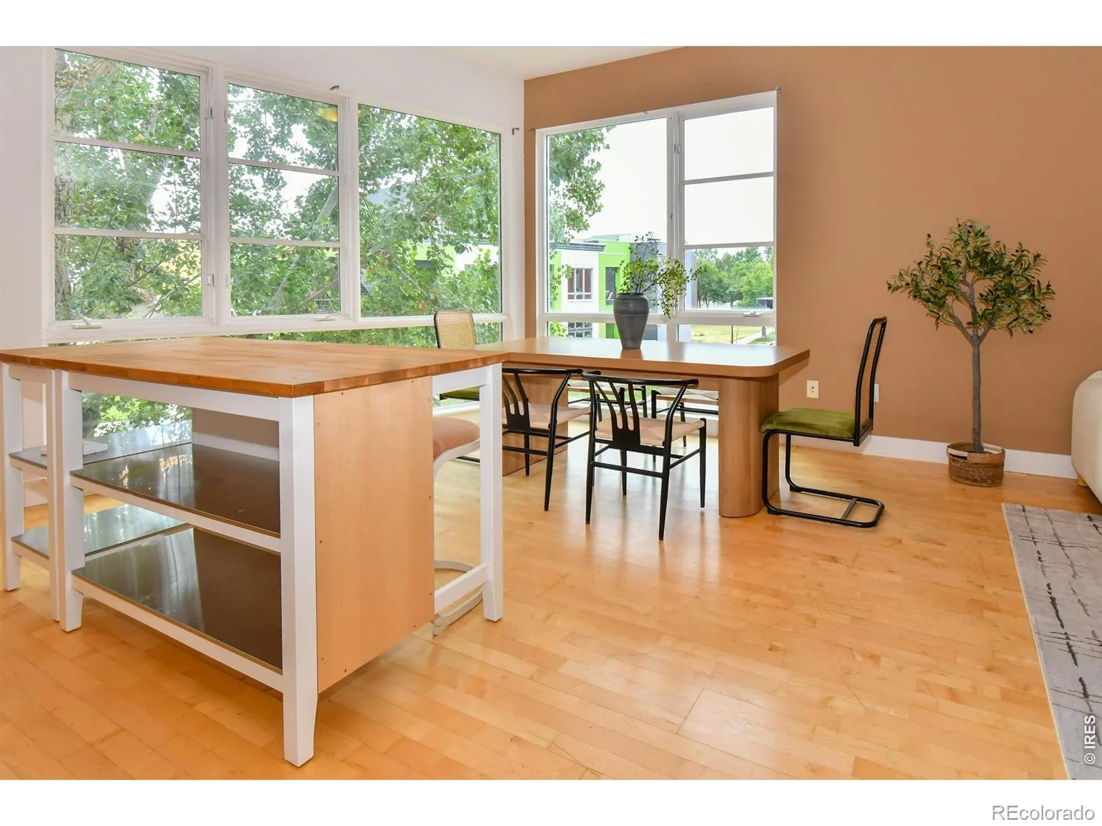 2017 100 Year Party Court #3 Longmont CO 80504 | MLS #RECIR1062867 08232026192651 1600 2