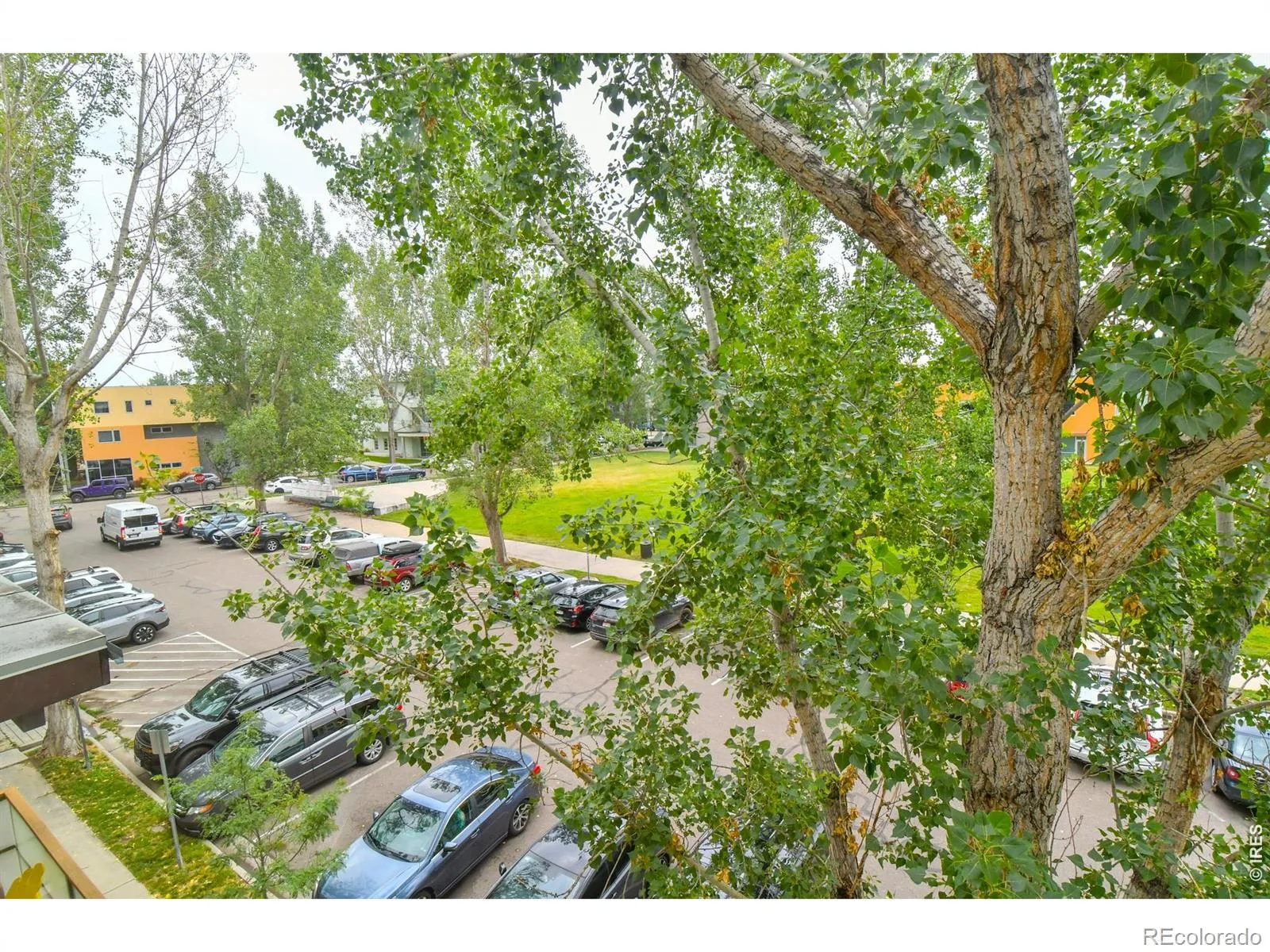 2017 100 Year Party Court #3 Longmont CO 80504 | MLS #RECIR1062867 08232026192651 1600 26