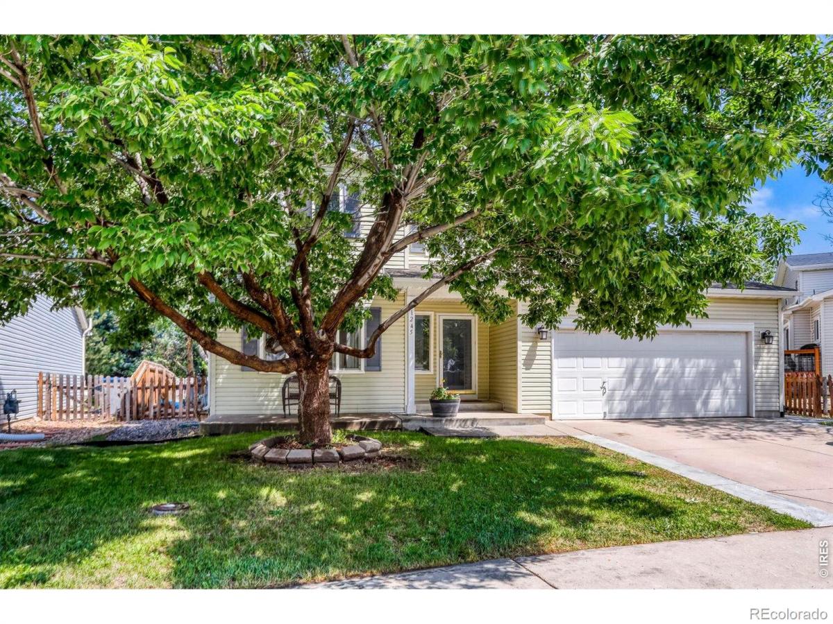 MLS #RECIR1062887 image #0