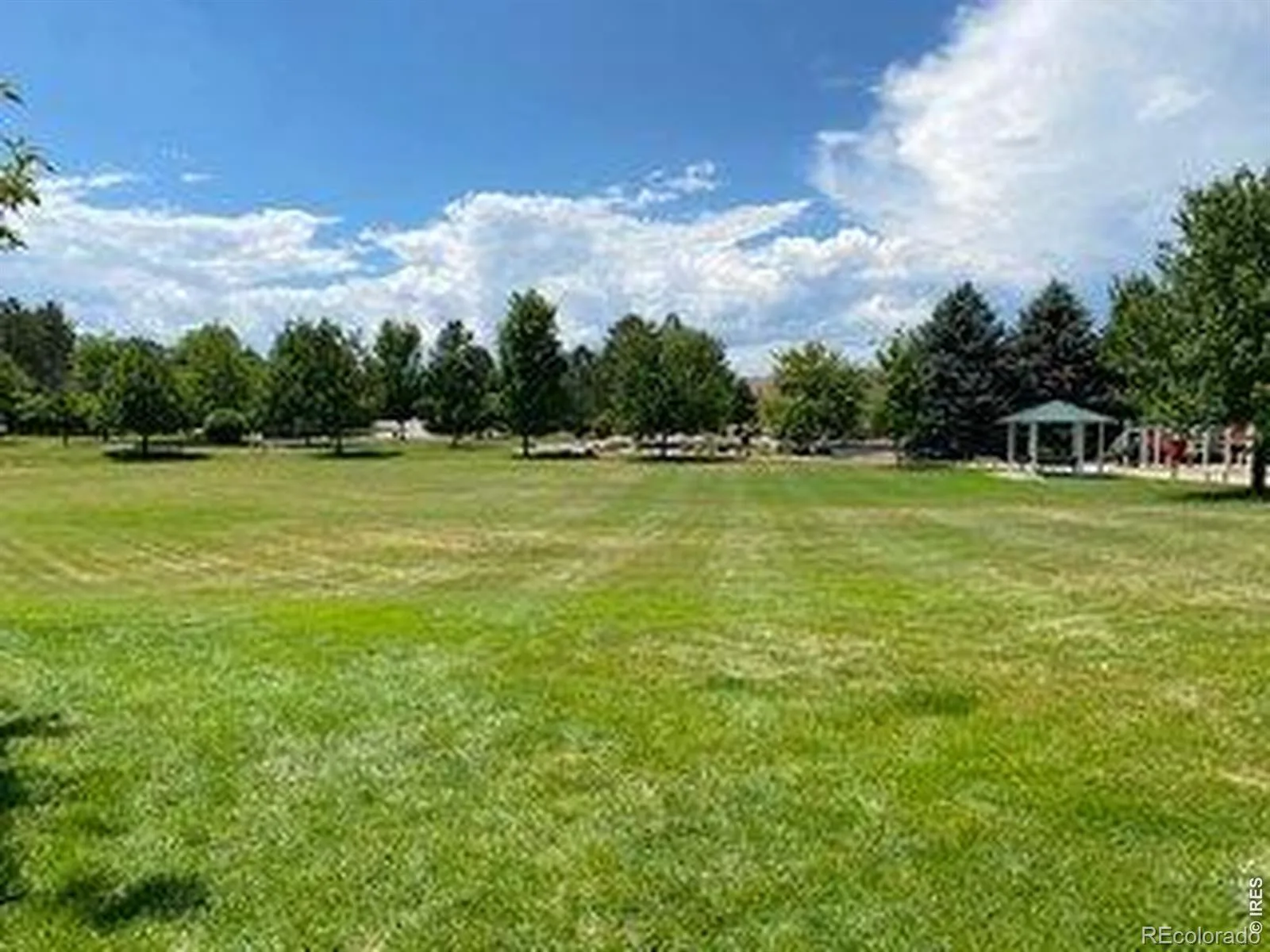 604 Barberry Drive Longmont CO 80503 | MLS #RECIR1062890 08112026180823 1600 19
