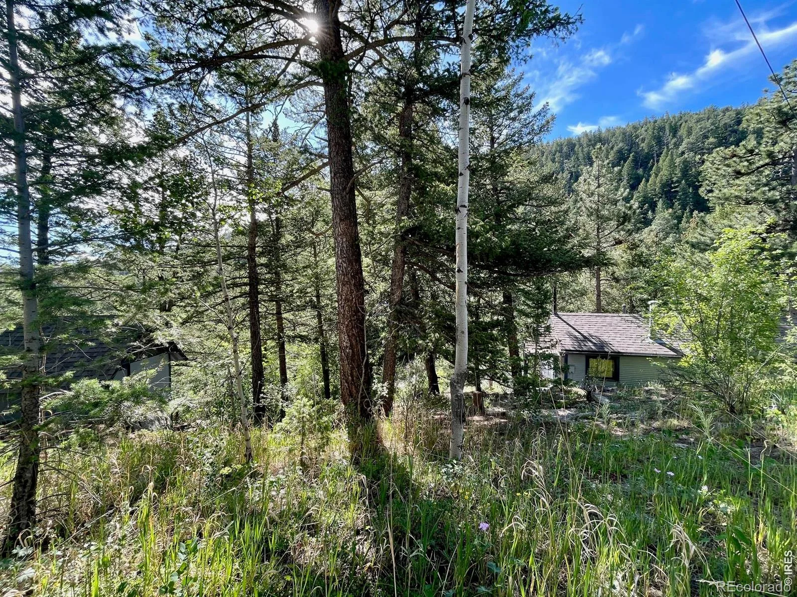 10763 Twin Spruce Road Golden CO 80403 | MLS #RECIR1062966 06282026173456 1600 1