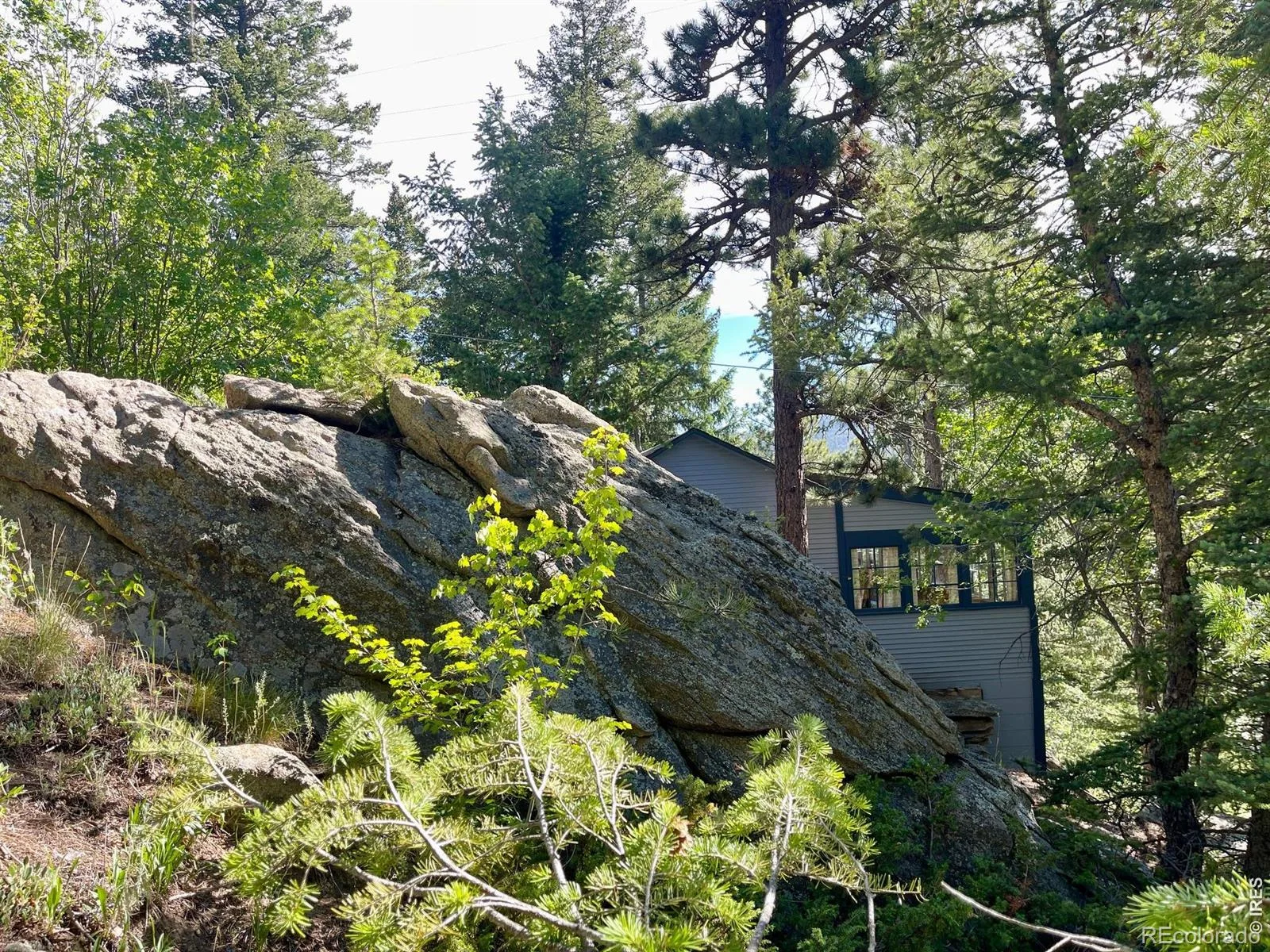 10763 Twin Spruce Road Golden CO 80403 | MLS #RECIR1062966 06282026173456 1600 5