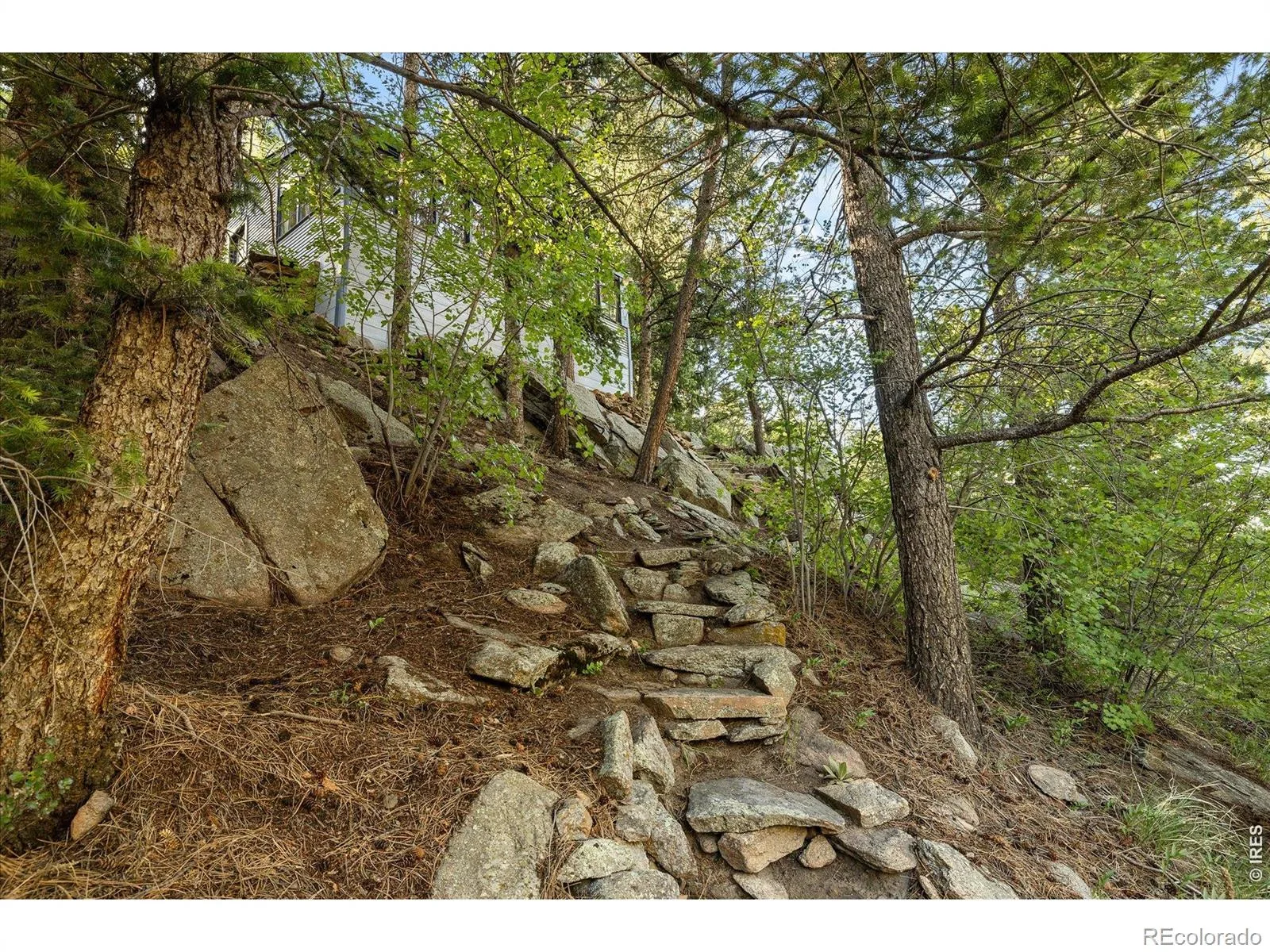 10763 Twin Spruce Road Golden CO 80403 | MLS #RECIR1062966 06282026173456 1600 6
