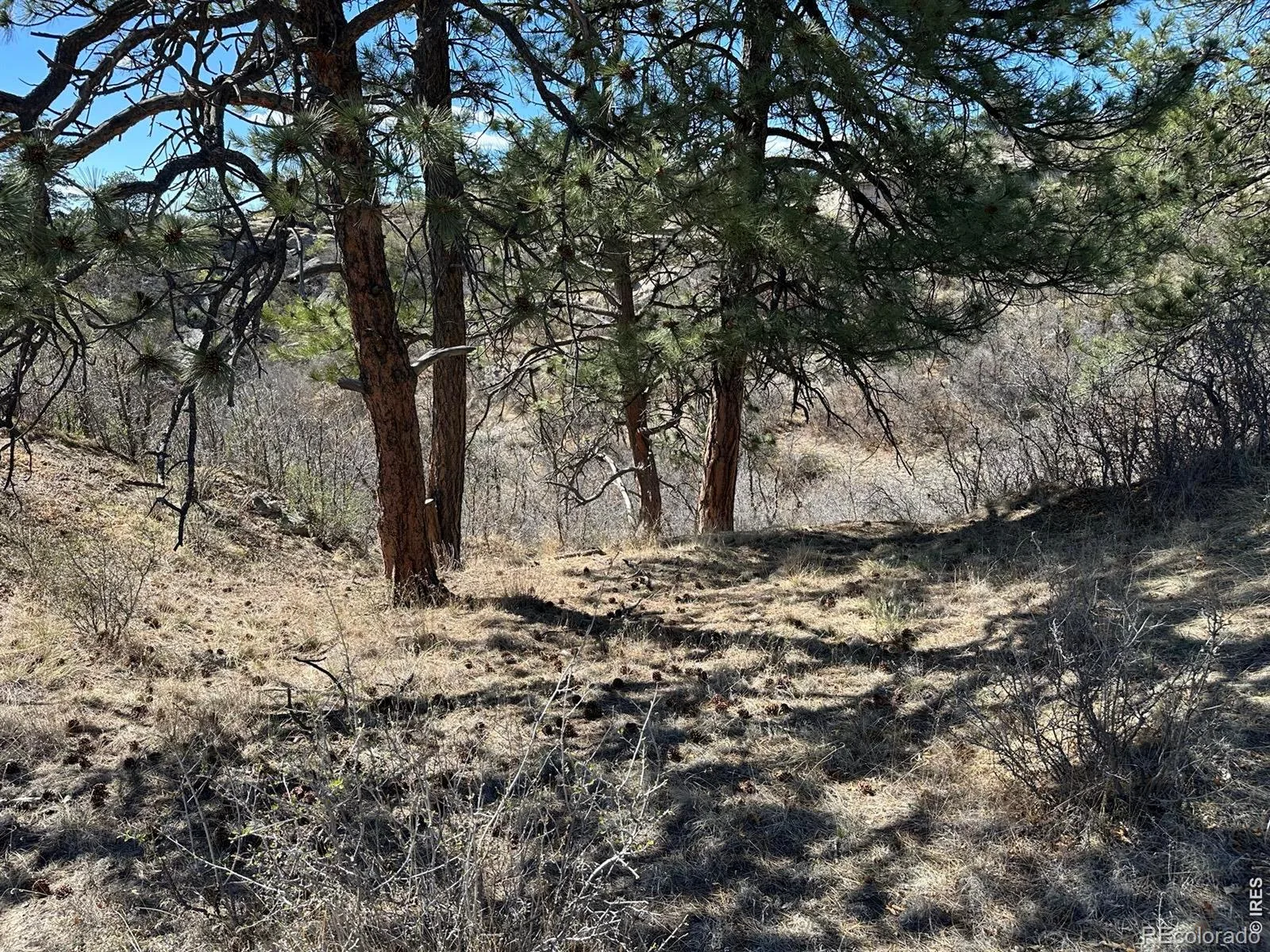 N Ridge Road Castle Rock CO 80104 | MLS #RECIR1063040 06302026053011 1600 7