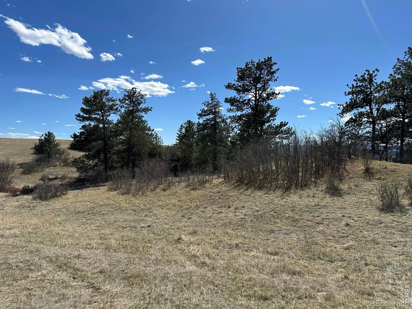 N Ridge Road Castle Rock CO 80104 | MLS #RECIR1063040 06302026053011 1600 9