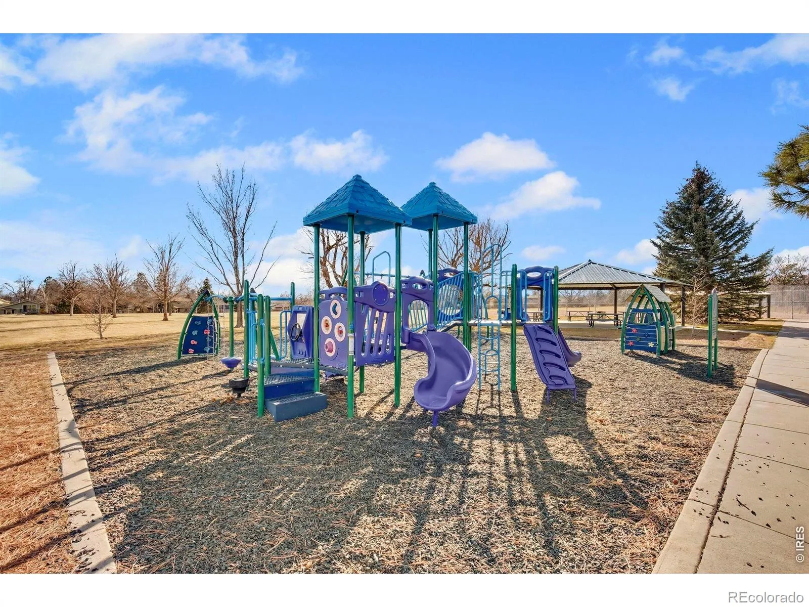 3174 W 11th Ave Dr Broomfield CO 80020 | MLS #RECIR1063054 07092026130720 1600 37