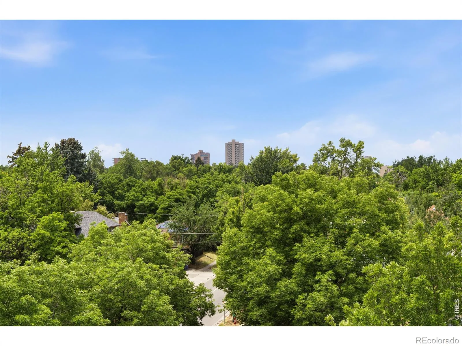 1313 Steele Street #606 Denver CO 80206 MLS #RECIR1063061 06302026170652 1600 36