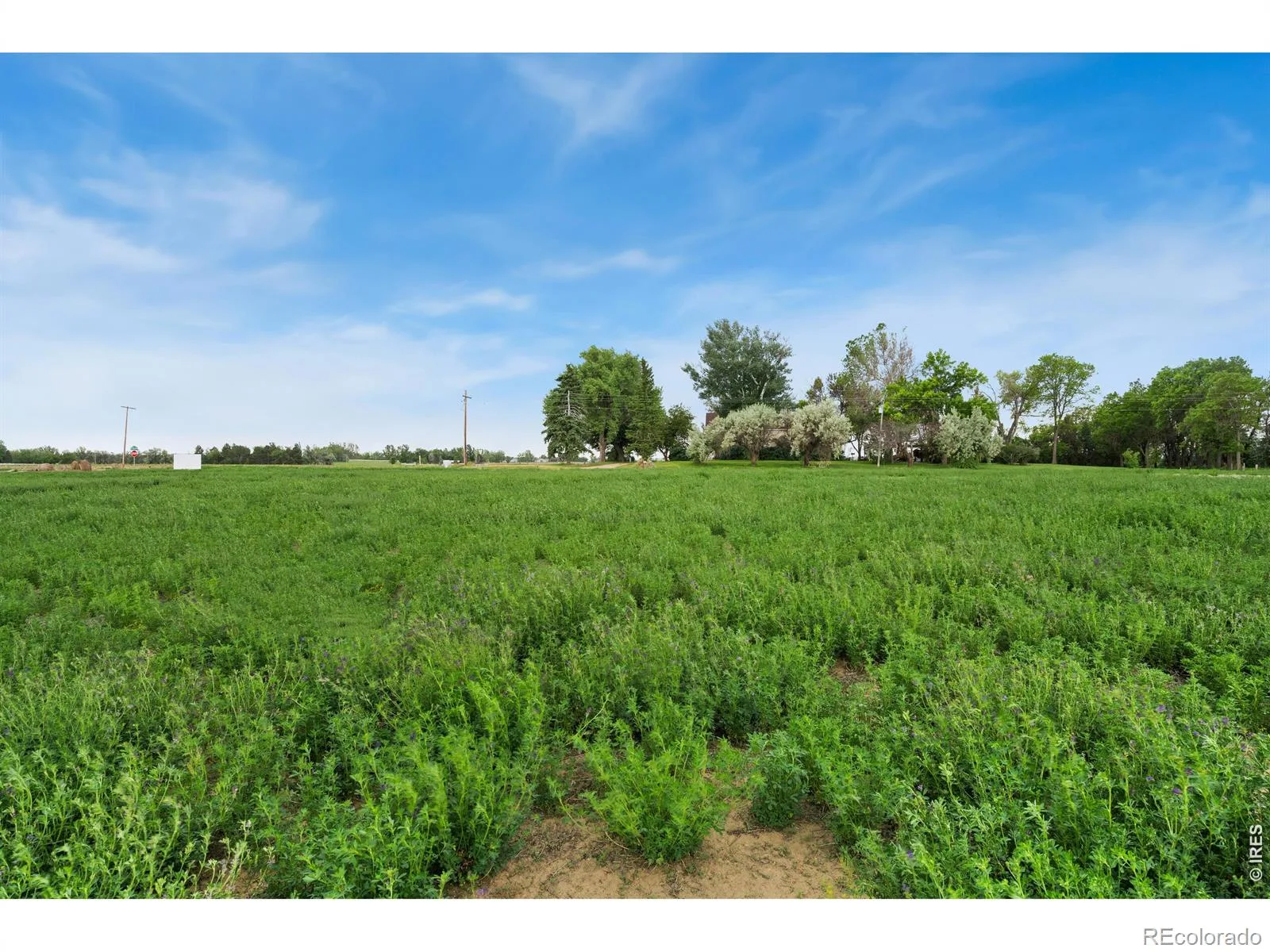 1534 Hauck Meadows Drive Longmont CO 80504 | MLS #RECIR1063077 06302026191157 1600 2