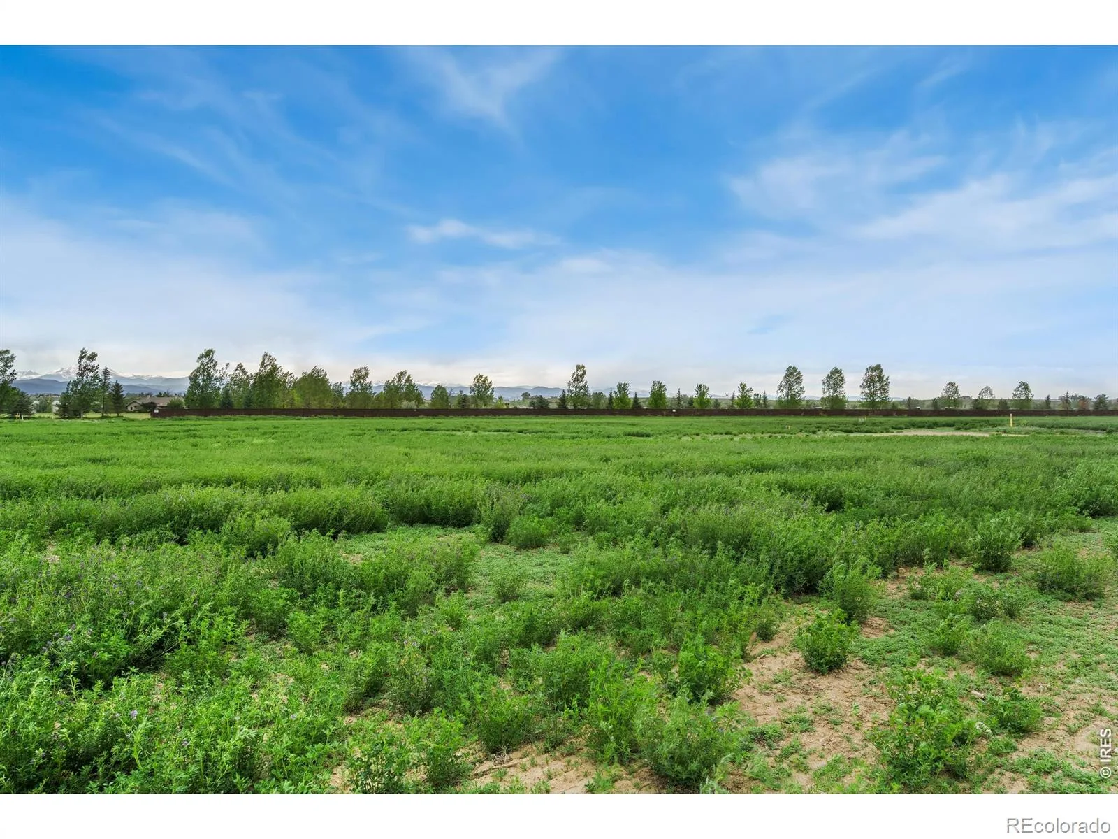1534 Hauck Meadows Drive Longmont CO 80504 | MLS #RECIR1063077 06302026191157 1600 3