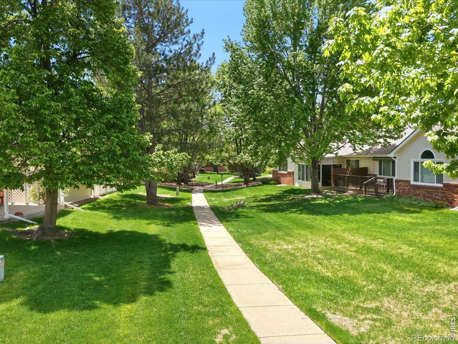 1620 16th Place Longmont CO 80501 | MLS #RECIR1063407 07062026165943 1600 32