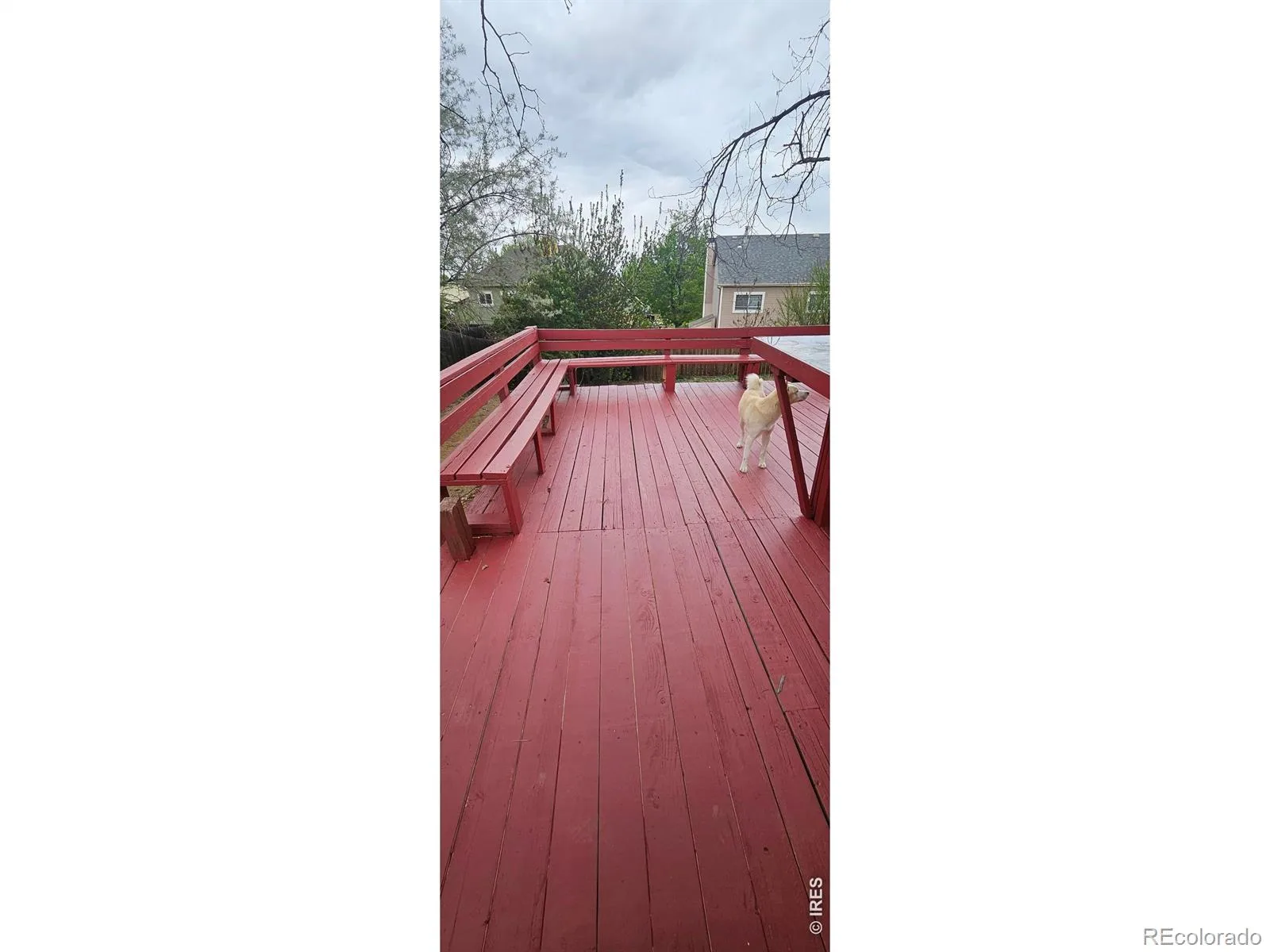 07062026184044 1600 32