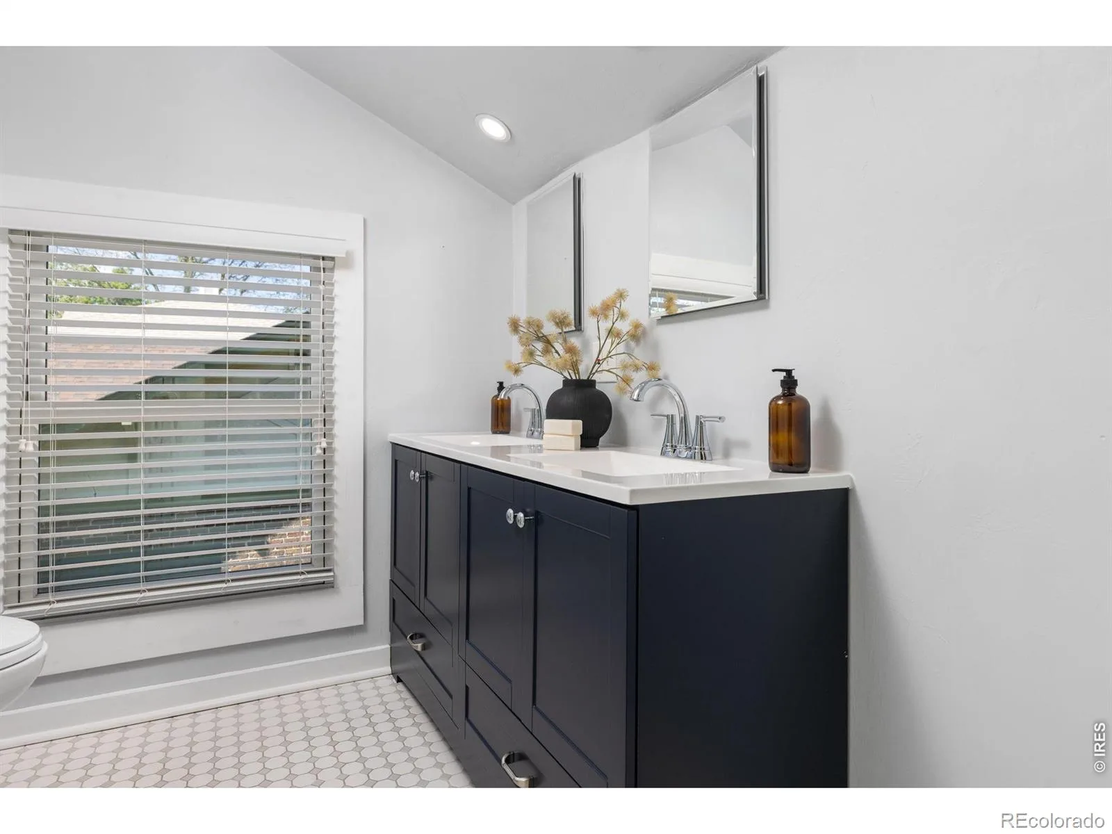 2257 Ivanhoe Street Denver CO 80207 MLS #RECIR1063484 07072026160013 1600 16
