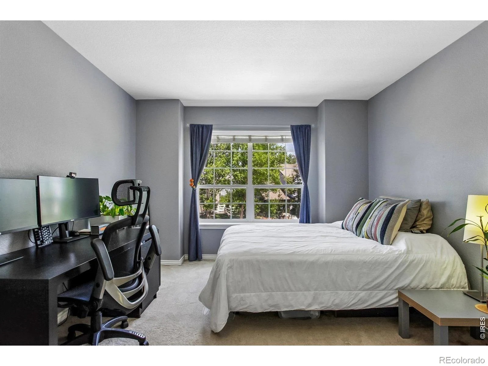 4219 Prairie Fire Circle Longmont CO 80503 | MLS #RECIR1063573 07082026154453 1600 16