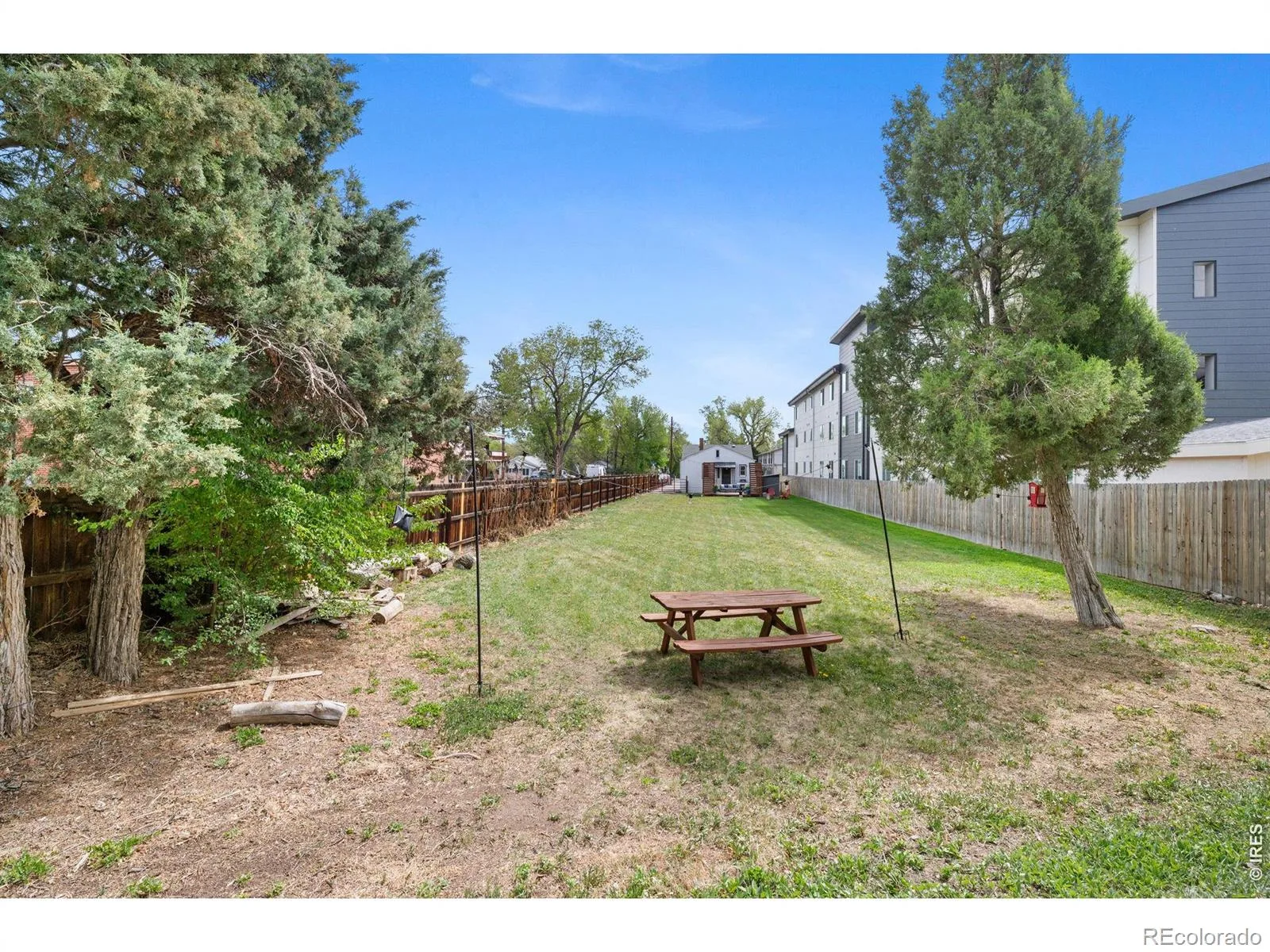 1095 Carr Street Lakewood CO 80214 MLS #RECIR1063586 07082026165246 1600 26