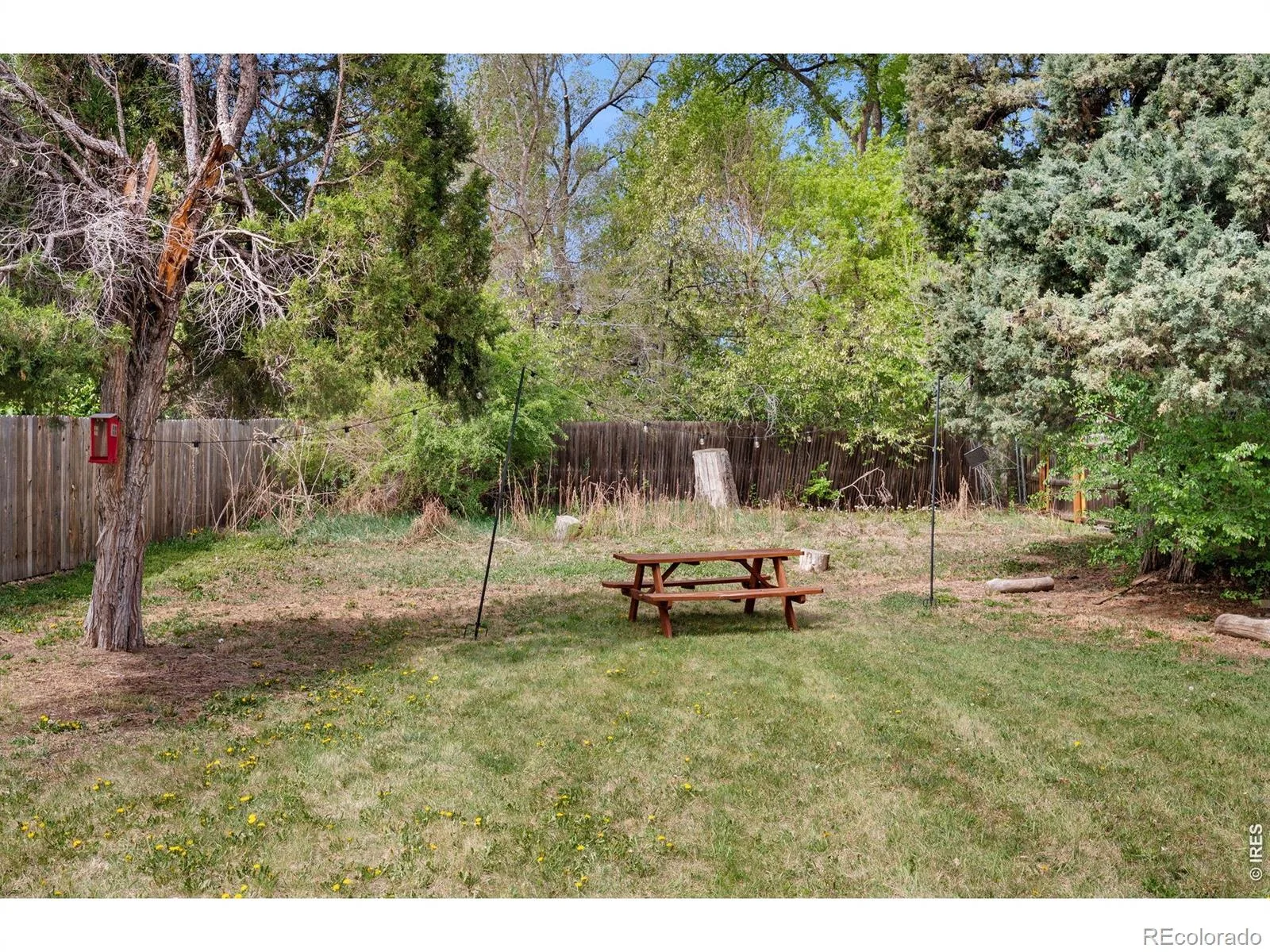 1095 Carr Street Lakewood CO 80214 MLS #RECIR1063586 07082026165246 1600 27