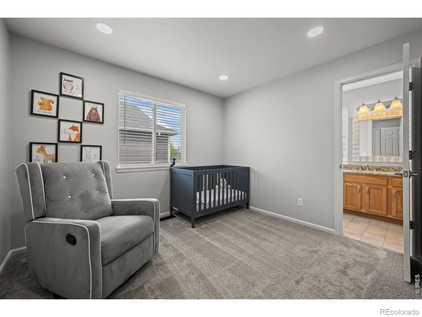 1617 Daily Drive Erie CO 80516 | MLS #RECIR1063609 07312026003135 1600 15