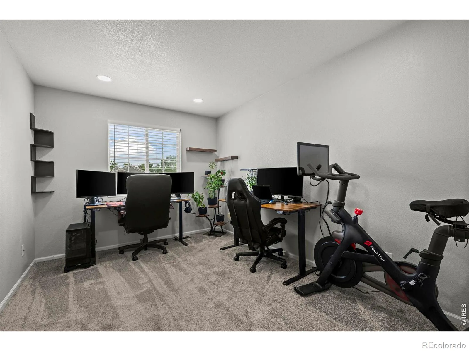 1617 Daily Drive Erie CO 80516 | MLS #RECIR1063609 07312026003135 1600 17