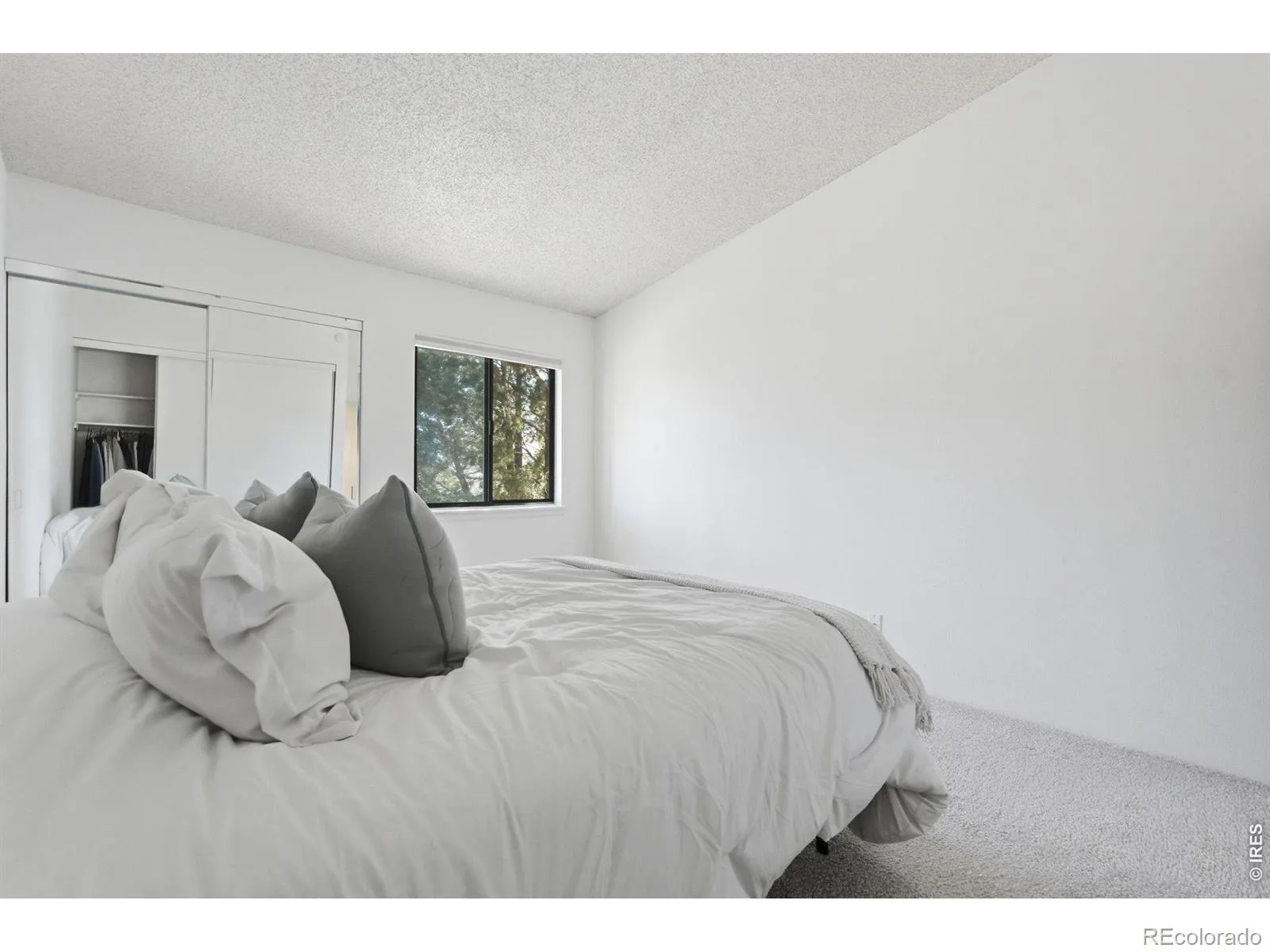 532 Oakwood Drive #E207 Castle Rock CO 80104 | MLS #RECIR1063708 07092026180743 1600 17
