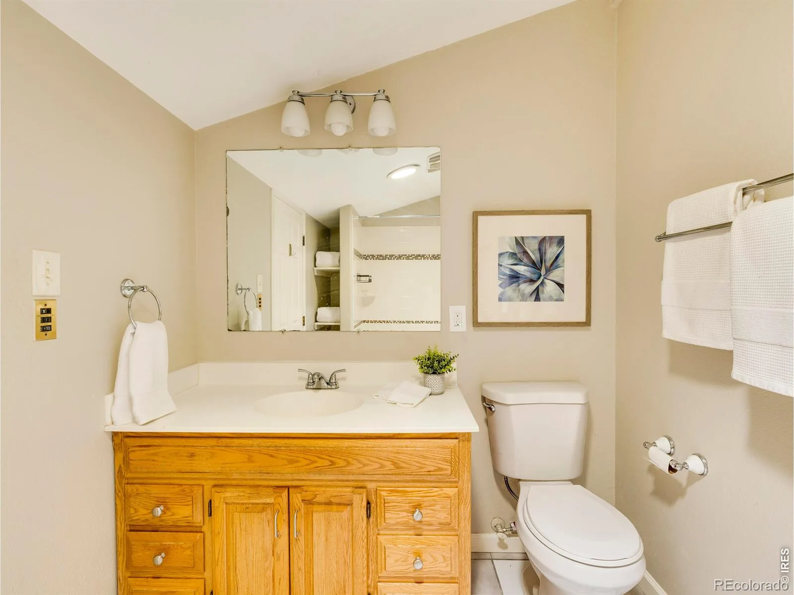 623 Terry Street Longmont CO 80501 | MLS #RECIR1063785 07092026224441 1600 24