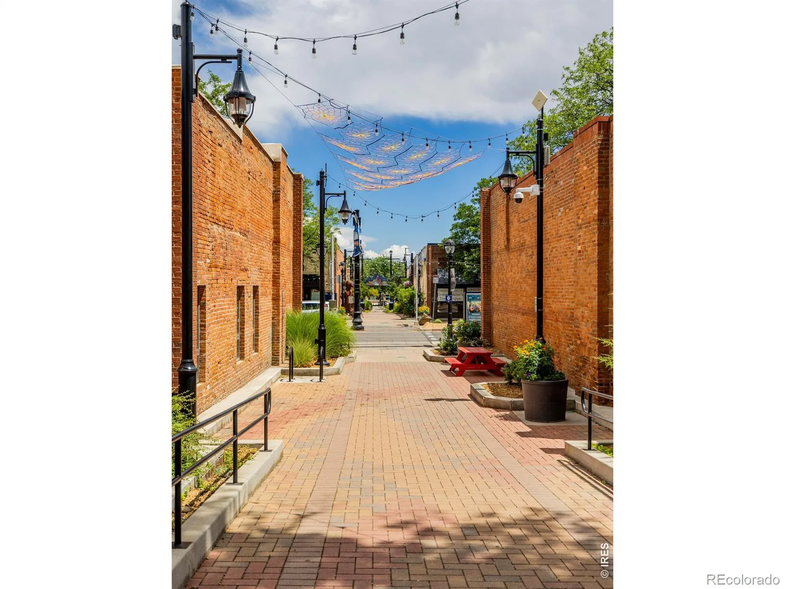 623 Terry Street Longmont CO 80501 | MLS #RECIR1063785 07092026224441 1600 37
