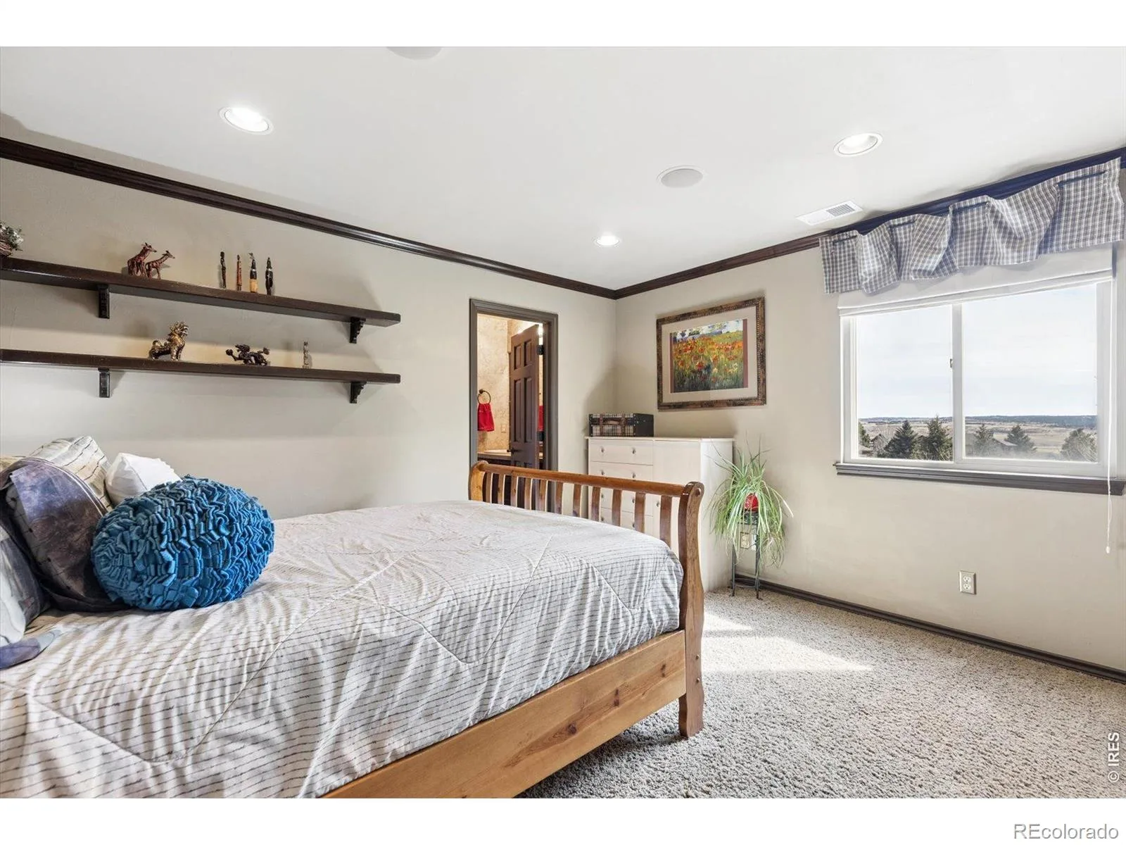5165 Rialto Drive Parker CO 80134 MLS #RECIR1063796 07152026175800 1600 29