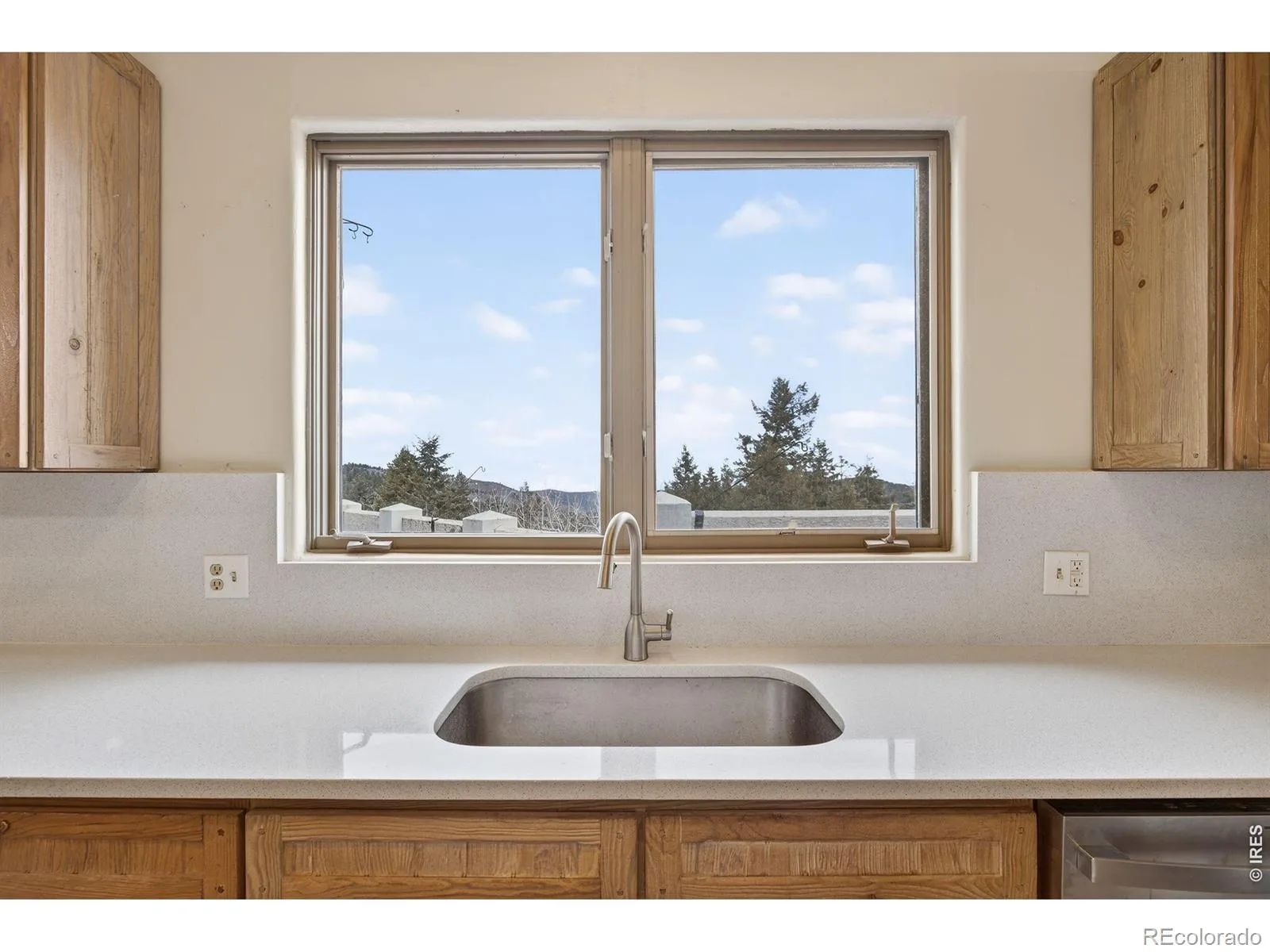 12291 S Critchell Lane Littleton CO 80127 | MLS #REC4121129 07102026033648 1600 12