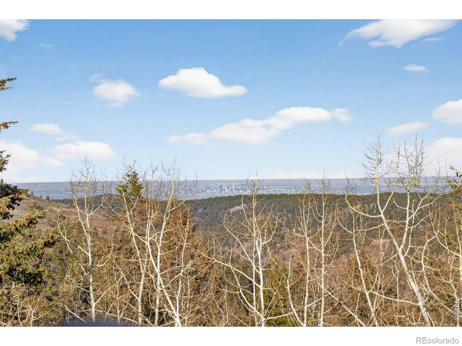 12291 S Critchell Lane Littleton CO 80127 | MLS #REC4121129 07102026033648 1600 40
