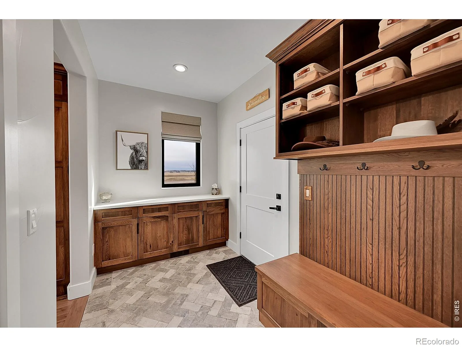 50 Skyhawk Way Parker CO 80138 | MLS #REC3969500 07132026064227 1600 27