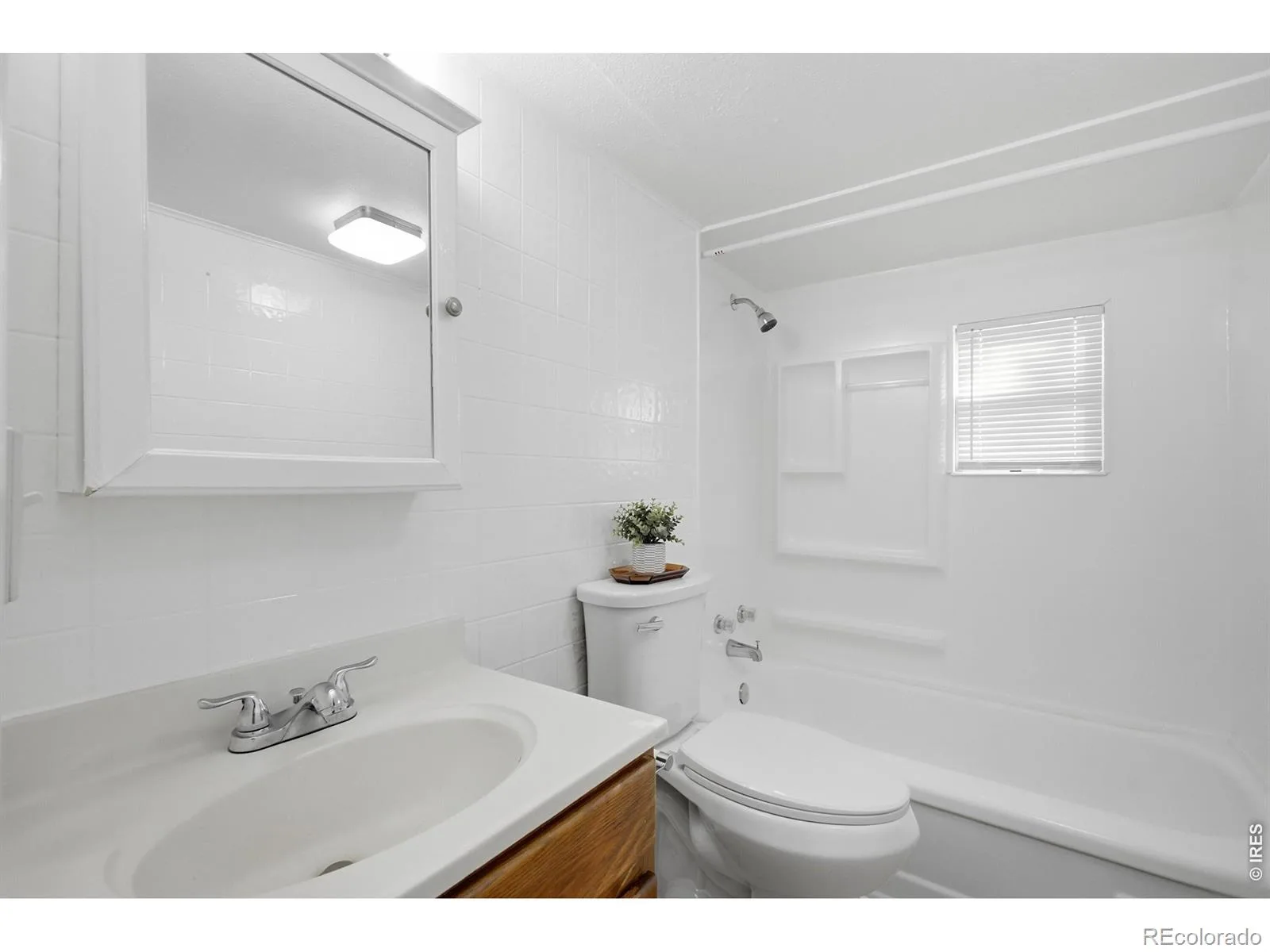 367 S Jasmine Street Denver CO 80224 | MLS #RECIR1063956 08102026221653 1600 13