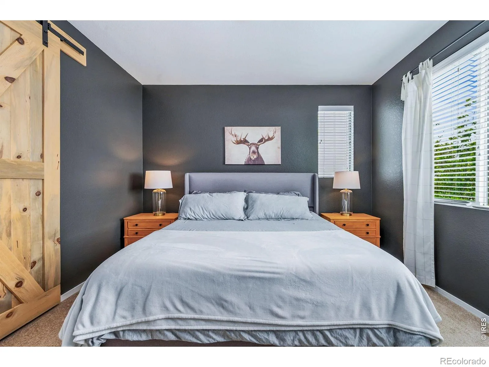 4697 Crestone Peak Street Brighton CO 80601 | MLS #RECIR1064122 07142026172341 1600 11
