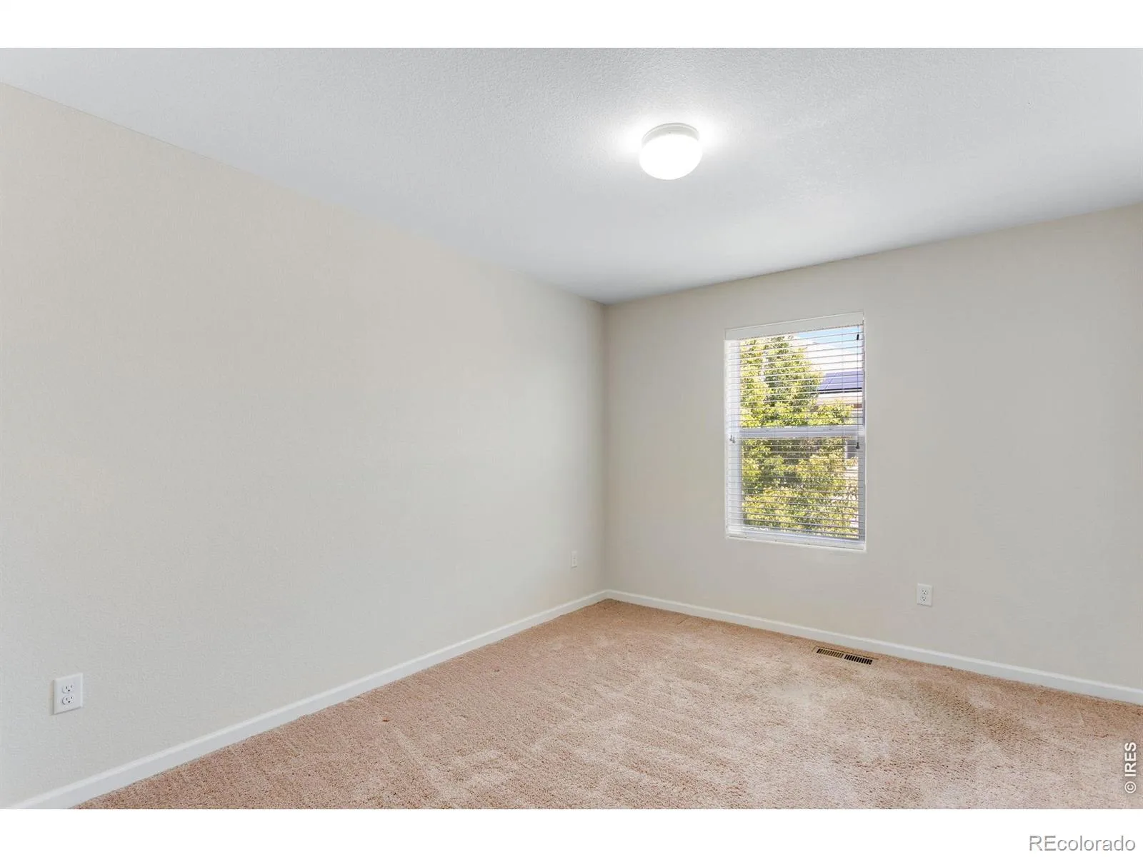1210 Bistre Street Longmont CO 80501 | MLS #RECIR1064157 07142026213246 1600 19