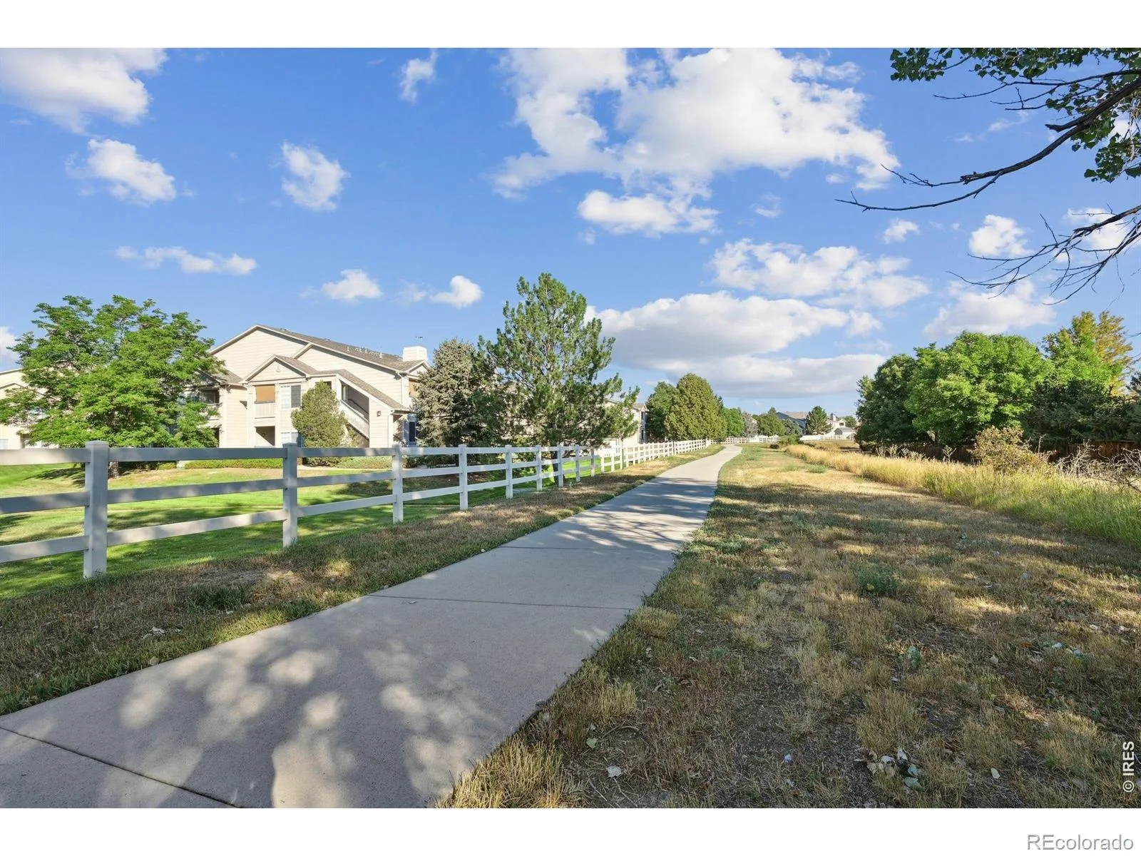 1070 Opal Street #204 Broomfield CO 80020 MLS #RECIR1064167 07162026044623 1600 32