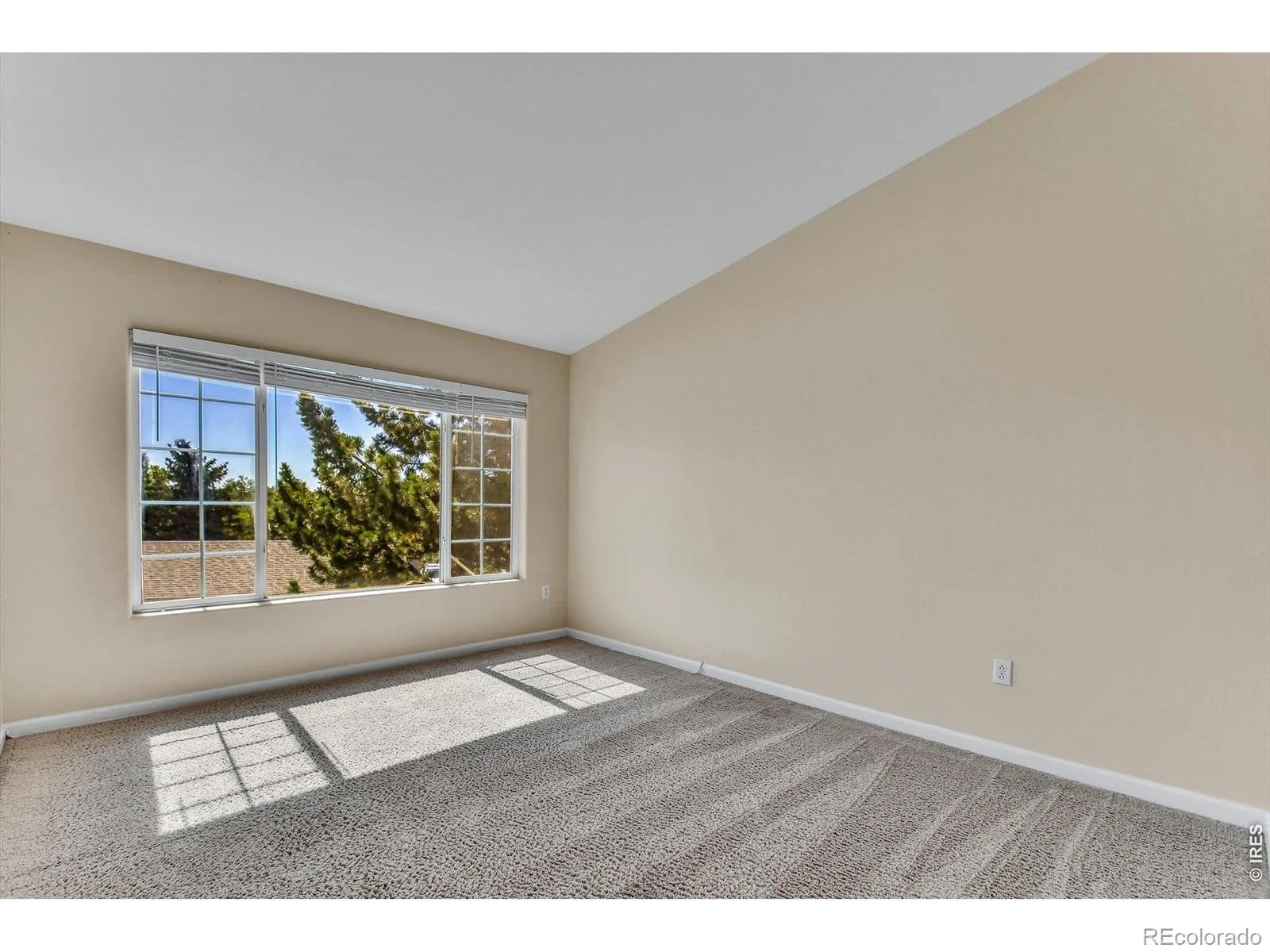 1070 Opal Street #204 Broomfield CO 80020 MLS #RECIR1064167 07162026044623 1600 4