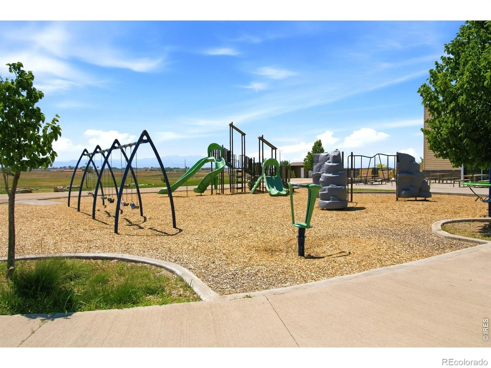 3785 Jay Hawk Court Dacono CO 80514 | MLS #RECIR1064192 08182026004943 1600 48