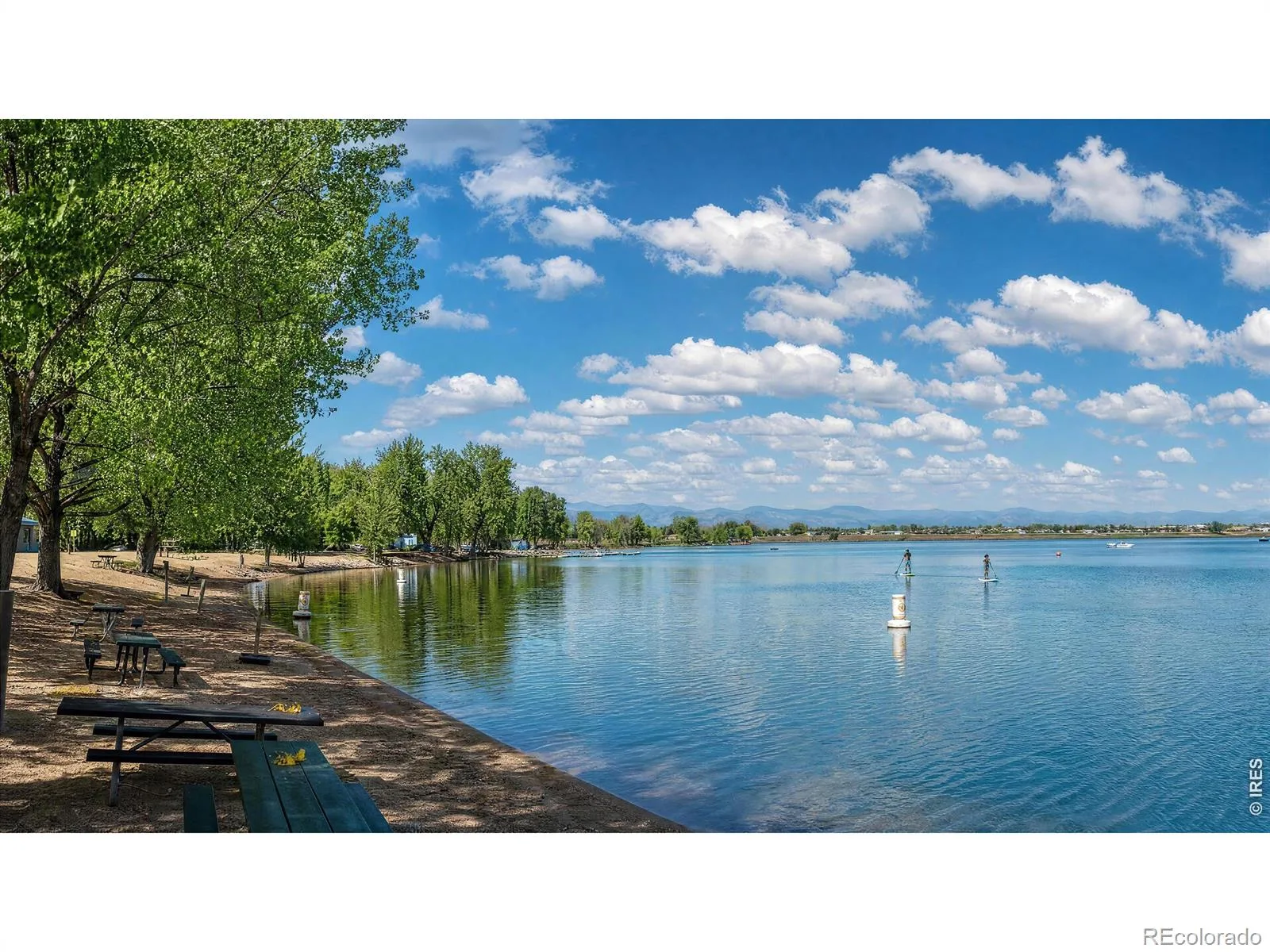 804 Summer Hawk Drive #8104 #8000 Longmont CO 80504 | MLS #RECIR1064259 08082026195630 1600 3