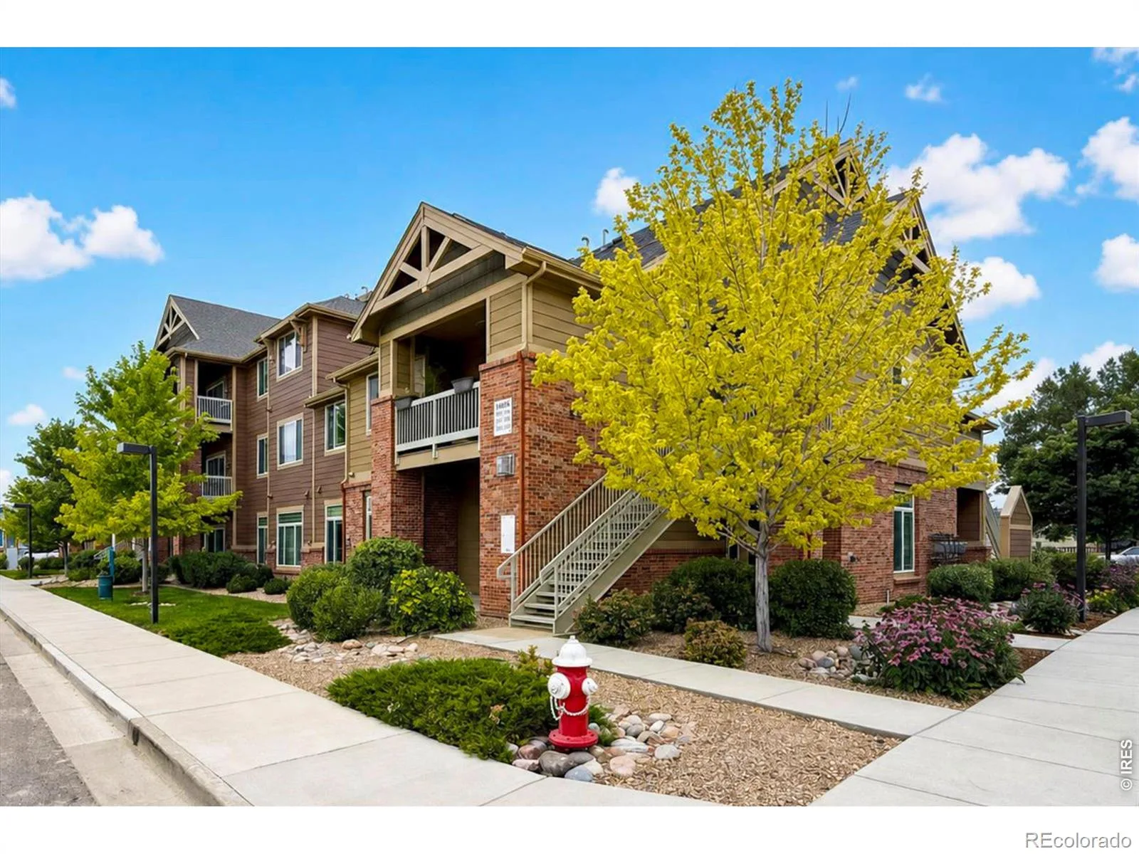 804 Summer Hawk Drive #8104 #8000 Longmont CO 80504 | MLS #RECIR1064259 08082026195630 1600 4