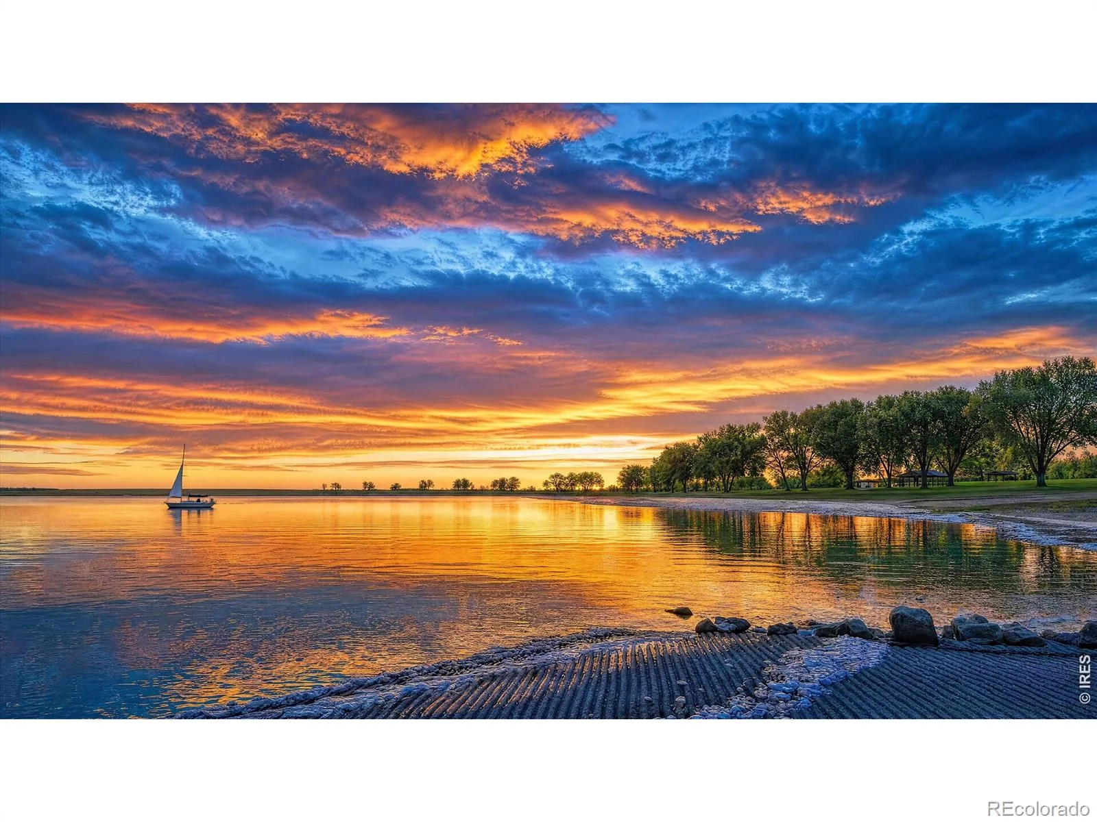804 Summer Hawk Drive #8104 #8000 Longmont CO 80504 | MLS #RECIR1064259 08082026195630 1600 43