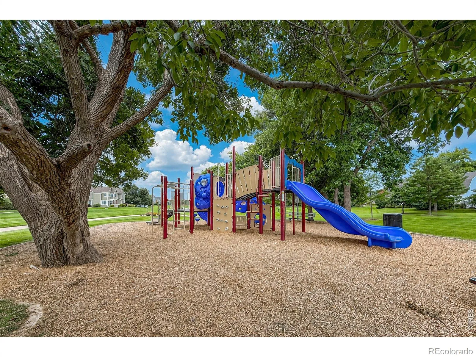 804 Summer Hawk Drive #8104 #8000 Longmont CO 80504 | MLS #RECIR1064259 08082026195630 1600 44