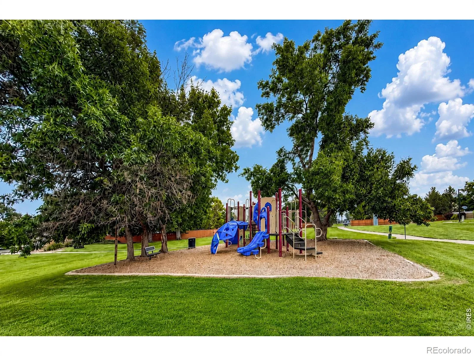 804 Summer Hawk Drive #8104 #8000 Longmont CO 80504 | MLS #RECIR1064259 08082026195630 1600 45